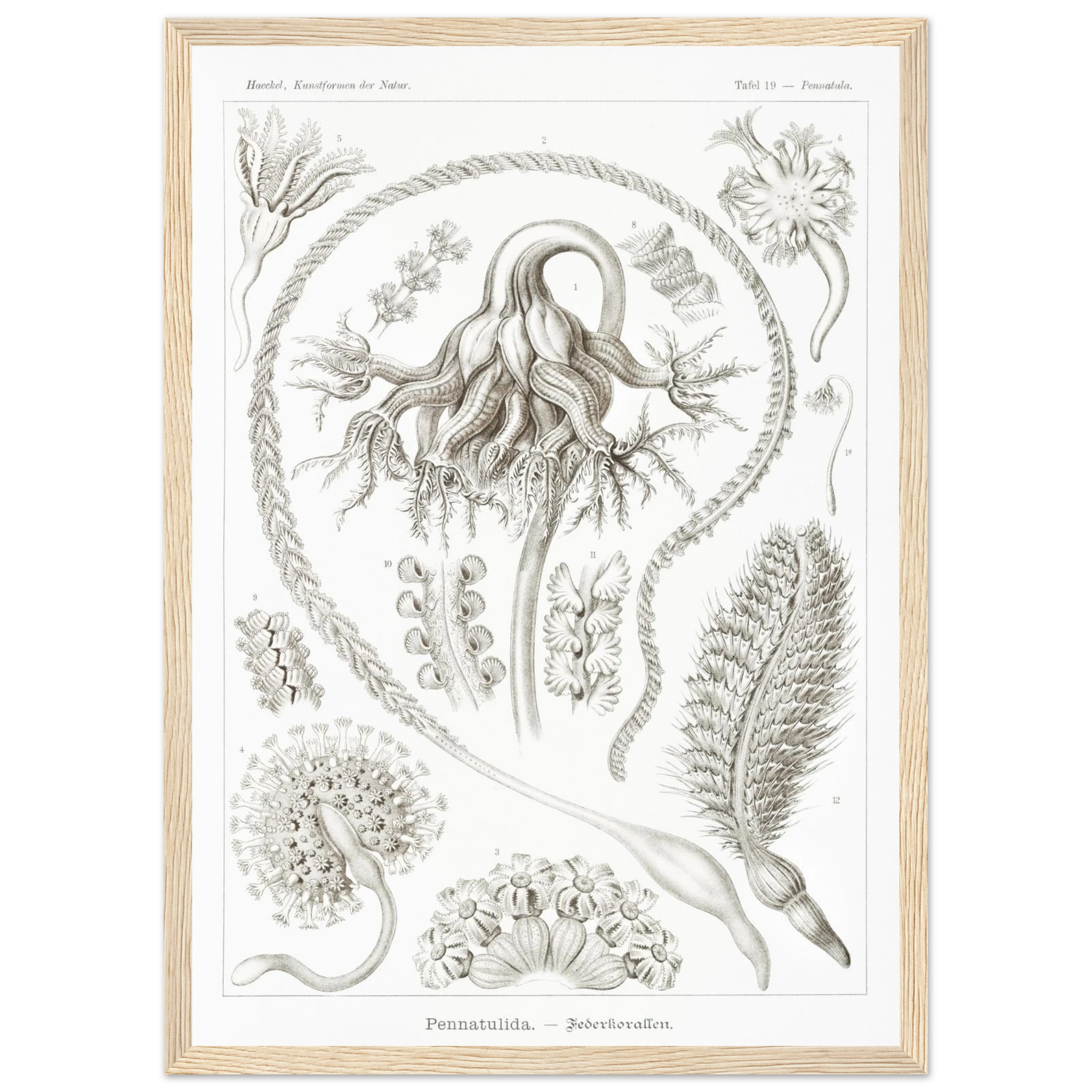 3e9b9a7d-f3c3-4feb-9a49-a74d598c06a2