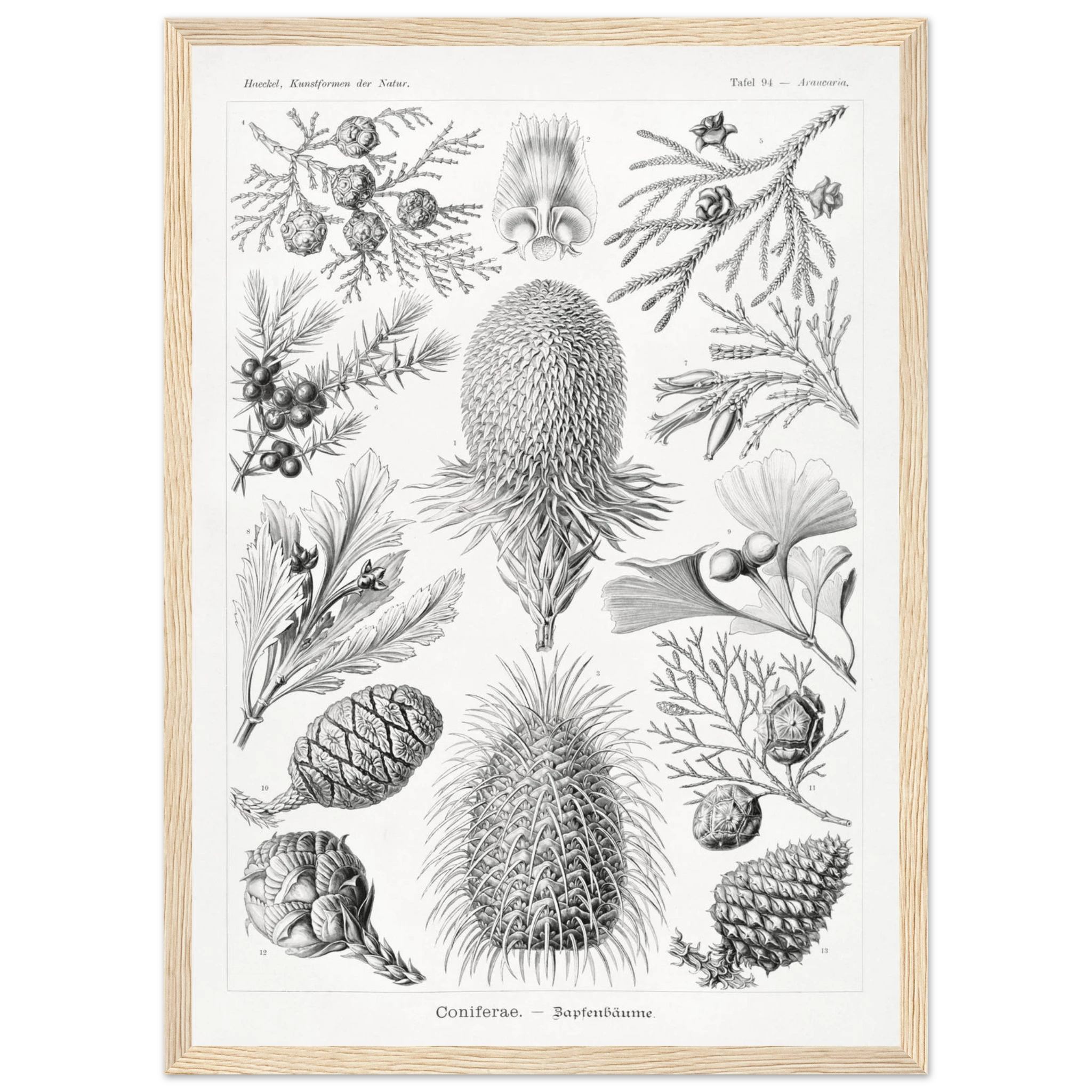 3ea2bdfa-1b71-451d-aa65-15cb214475b5