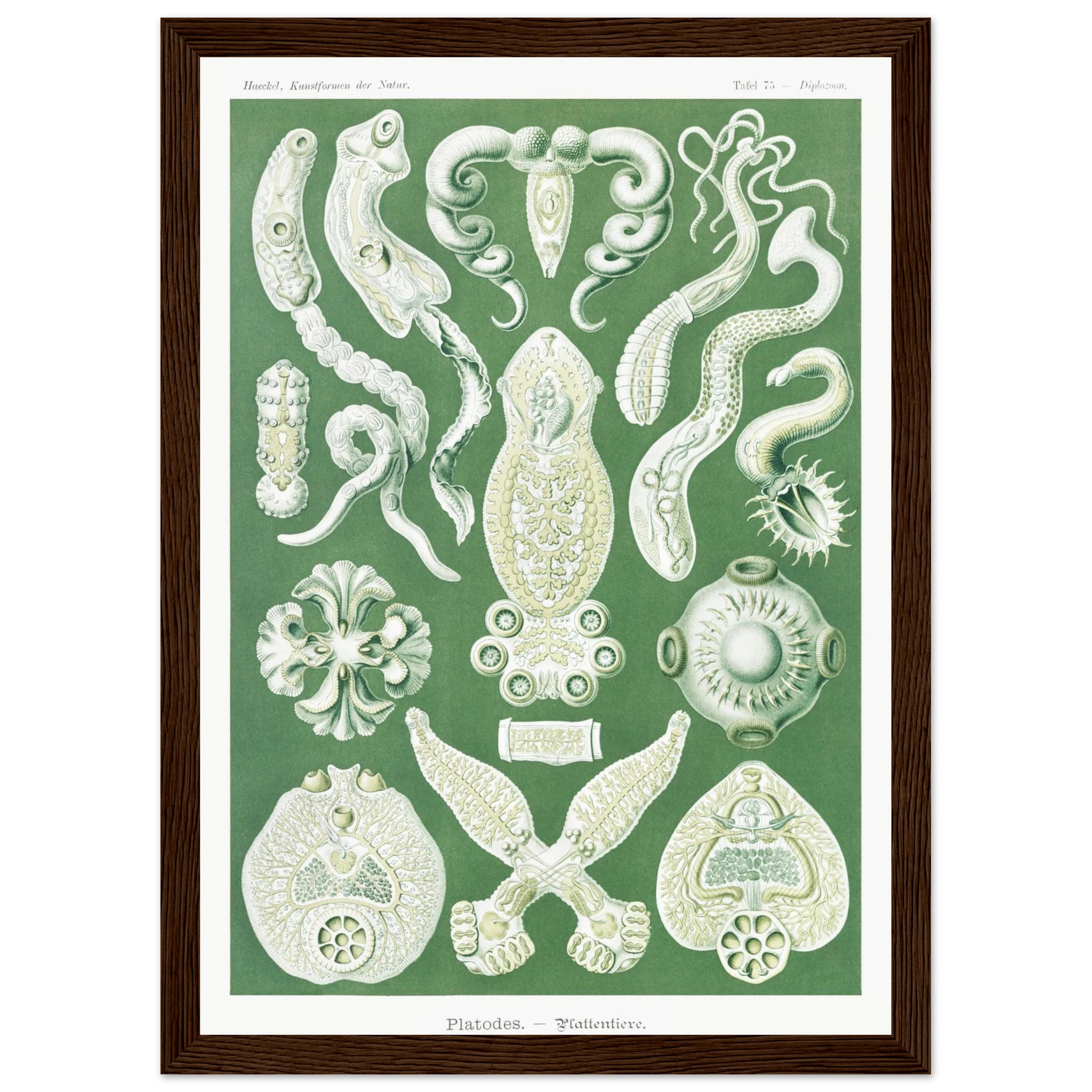 3ea881fc-1141-4989-95d0-a56166188581