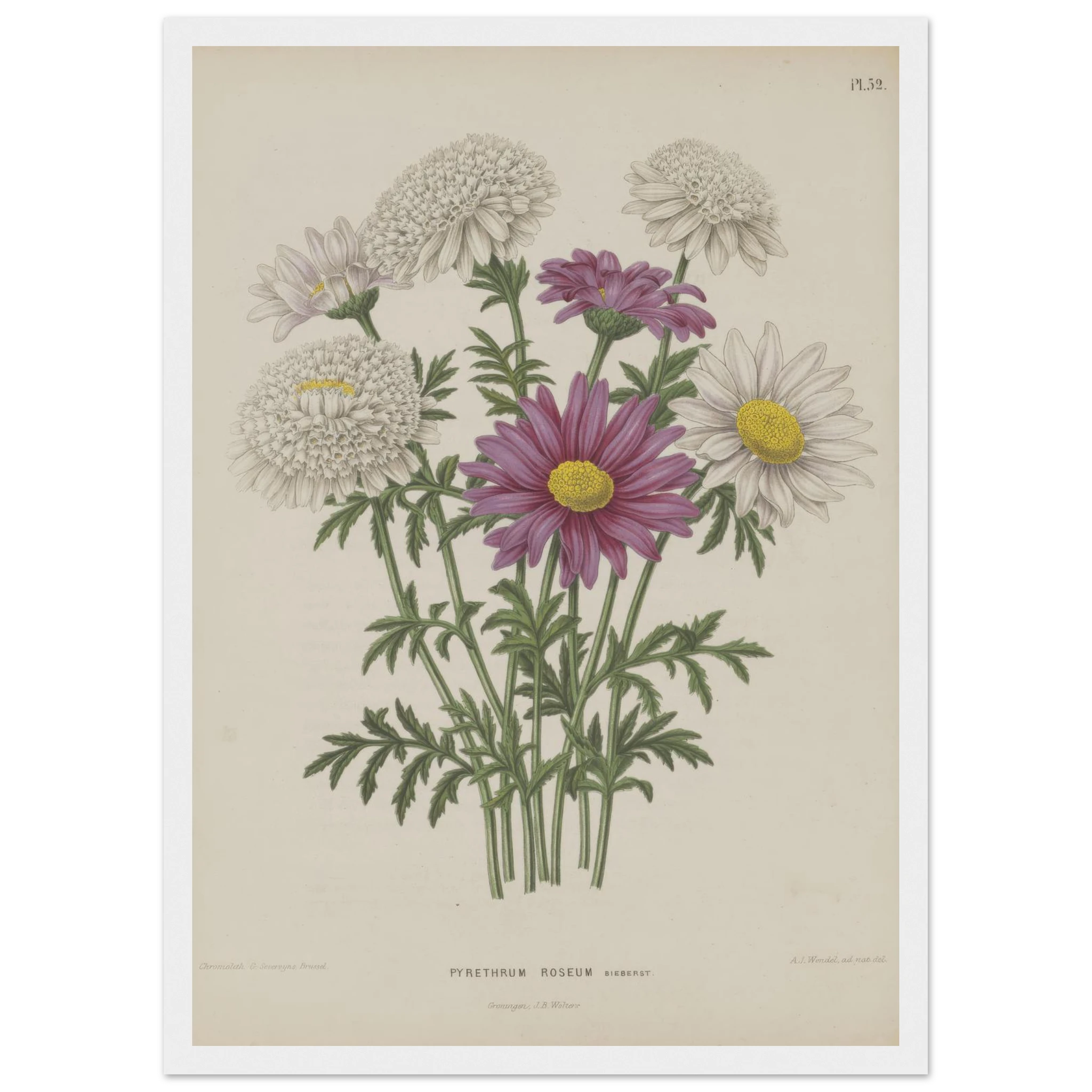 3f0fac84-f8de-42fb-b0bf-7e524f242693