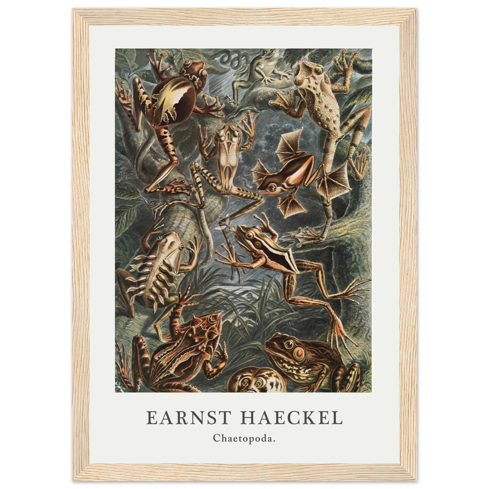 3fbf2163-8073-4df3-9a29-e5e6057985de