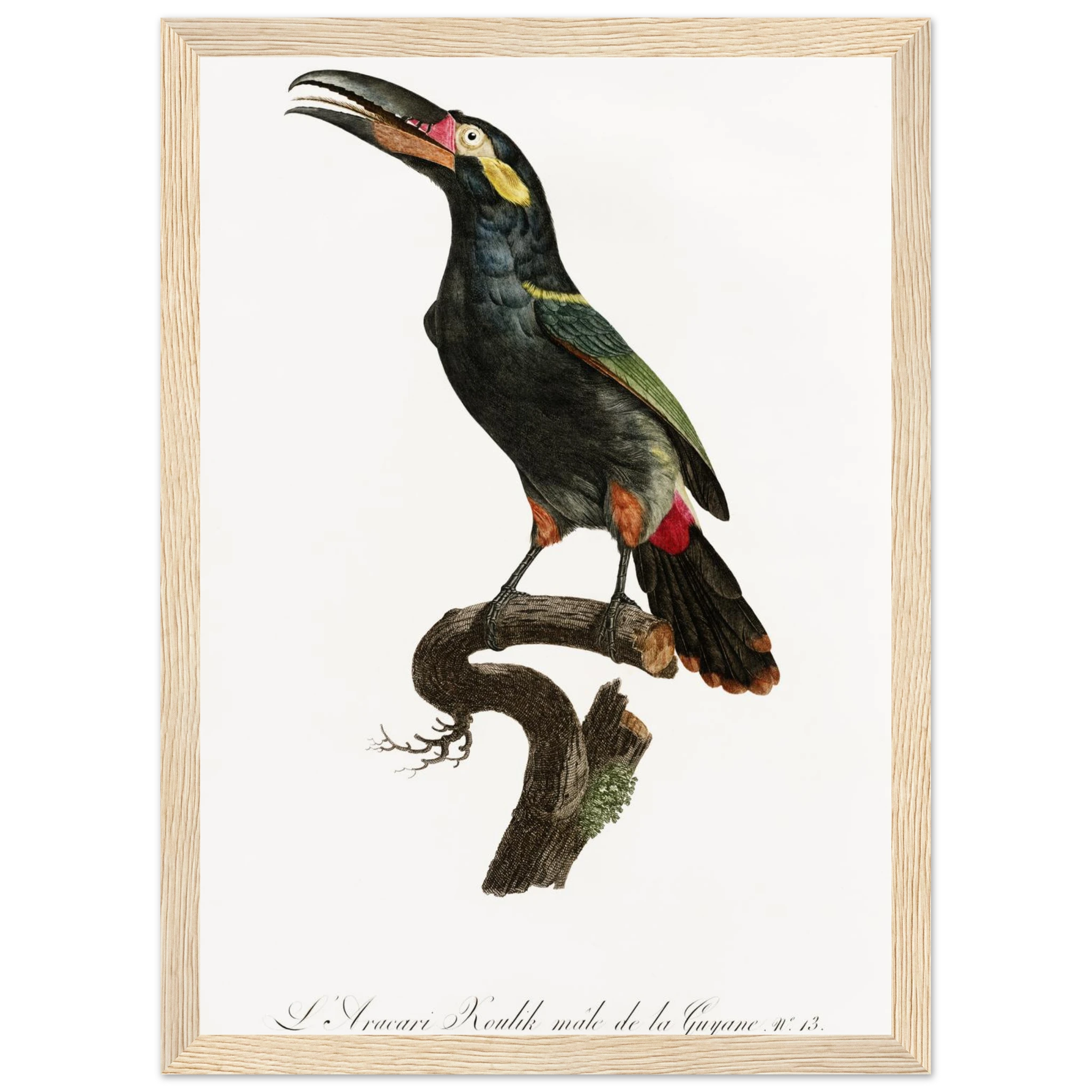 3ffee542-8834-497c-aa5e-a7b02b0d1f00