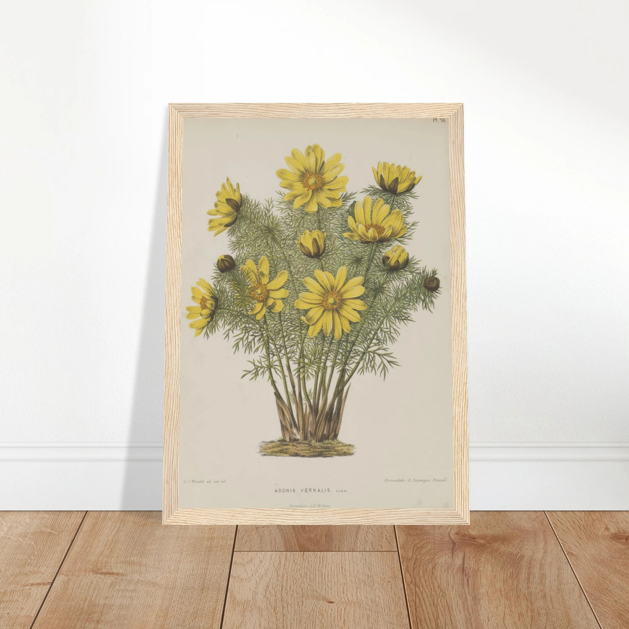 4034123d-c00e-4eca-86f9-f6b385f3a75d