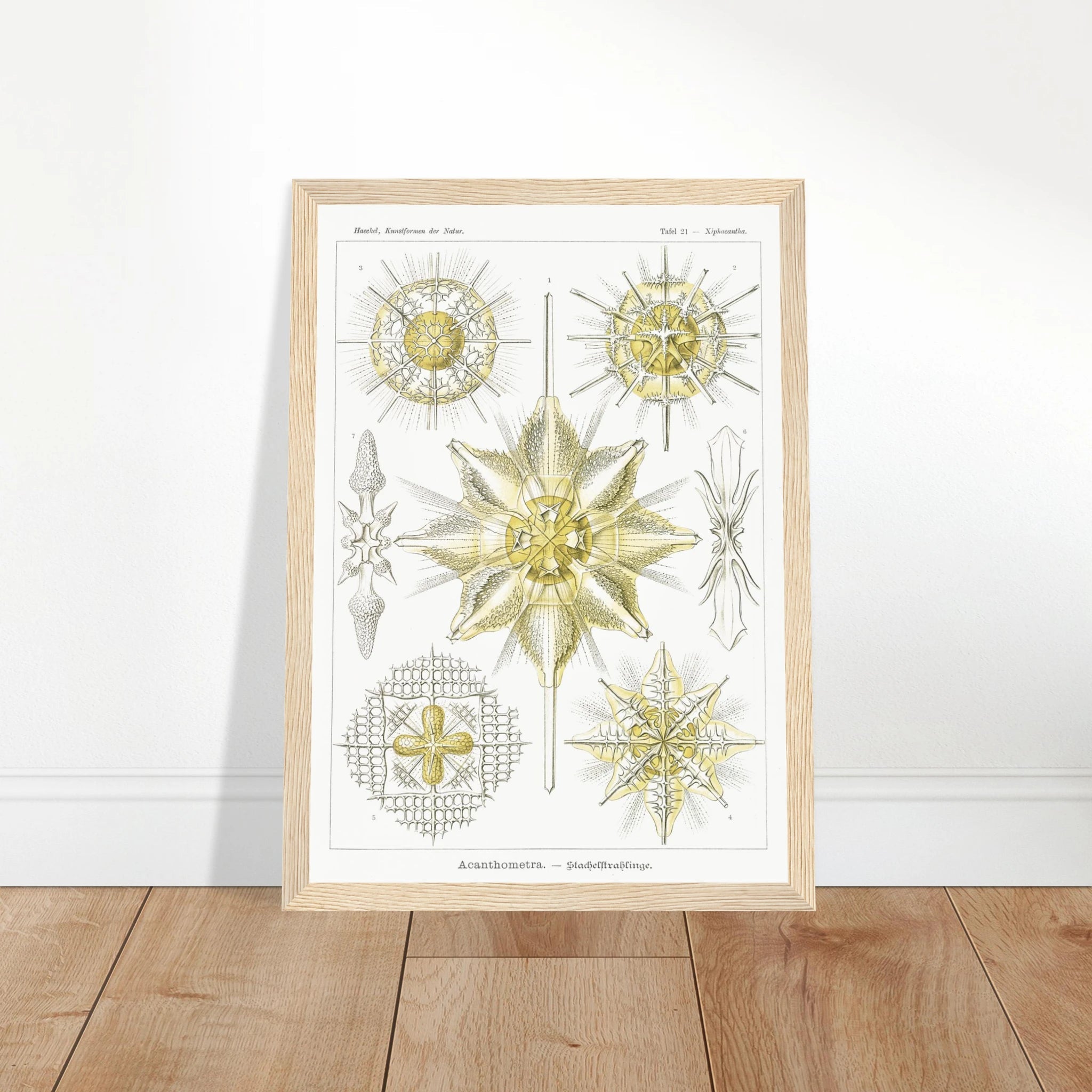 404f919a-c020-481e-be29-f79a23d012e4