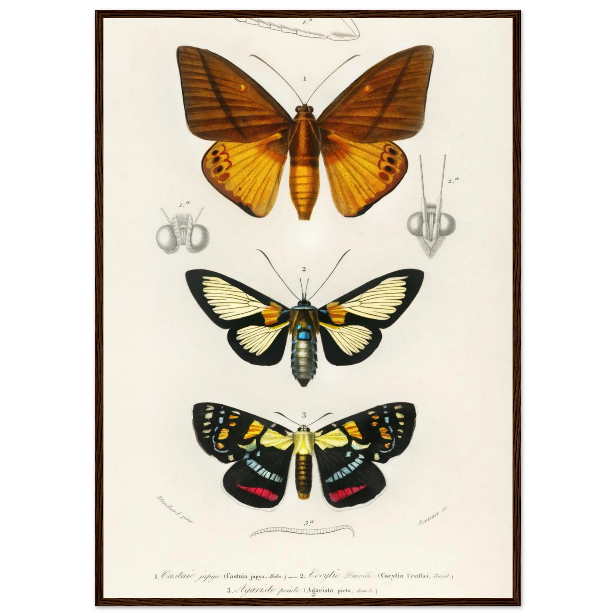 406aeef8-3fdc-4a30-94d6-51cce80290c9