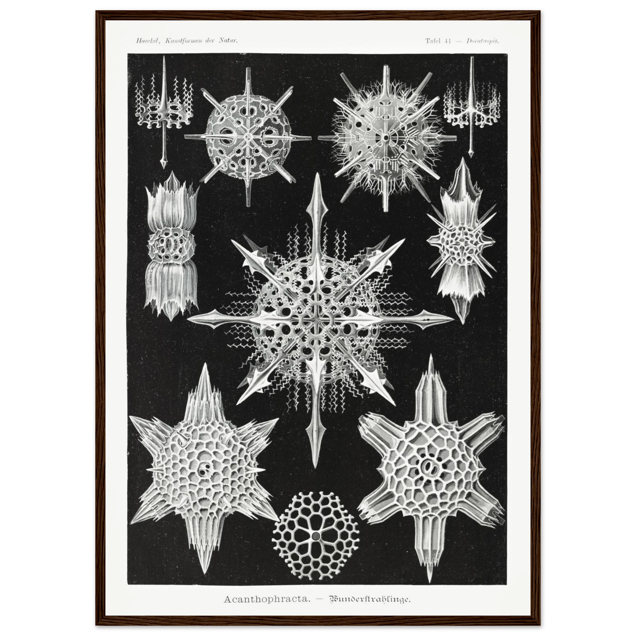 40ceaf17-fc5e-48cf-96c6-3fa660113e91