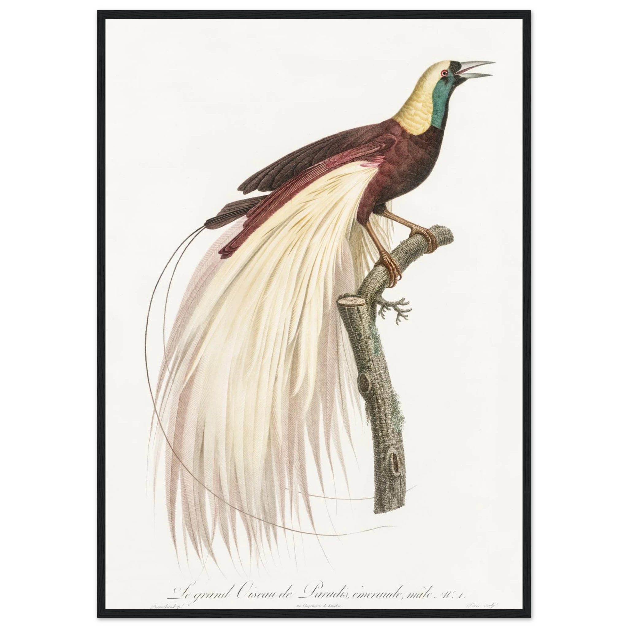 40fc2929-1f77-488c-9151-773a46da698a