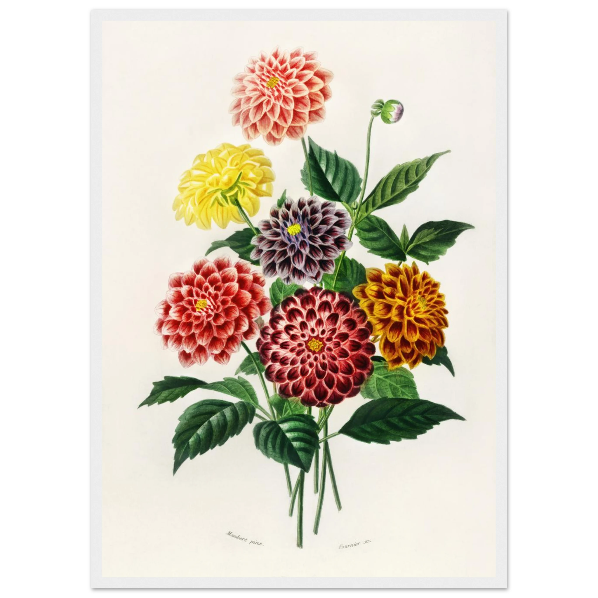 41146dc5-3c48-4bd7-a6e1-ea77a0445691