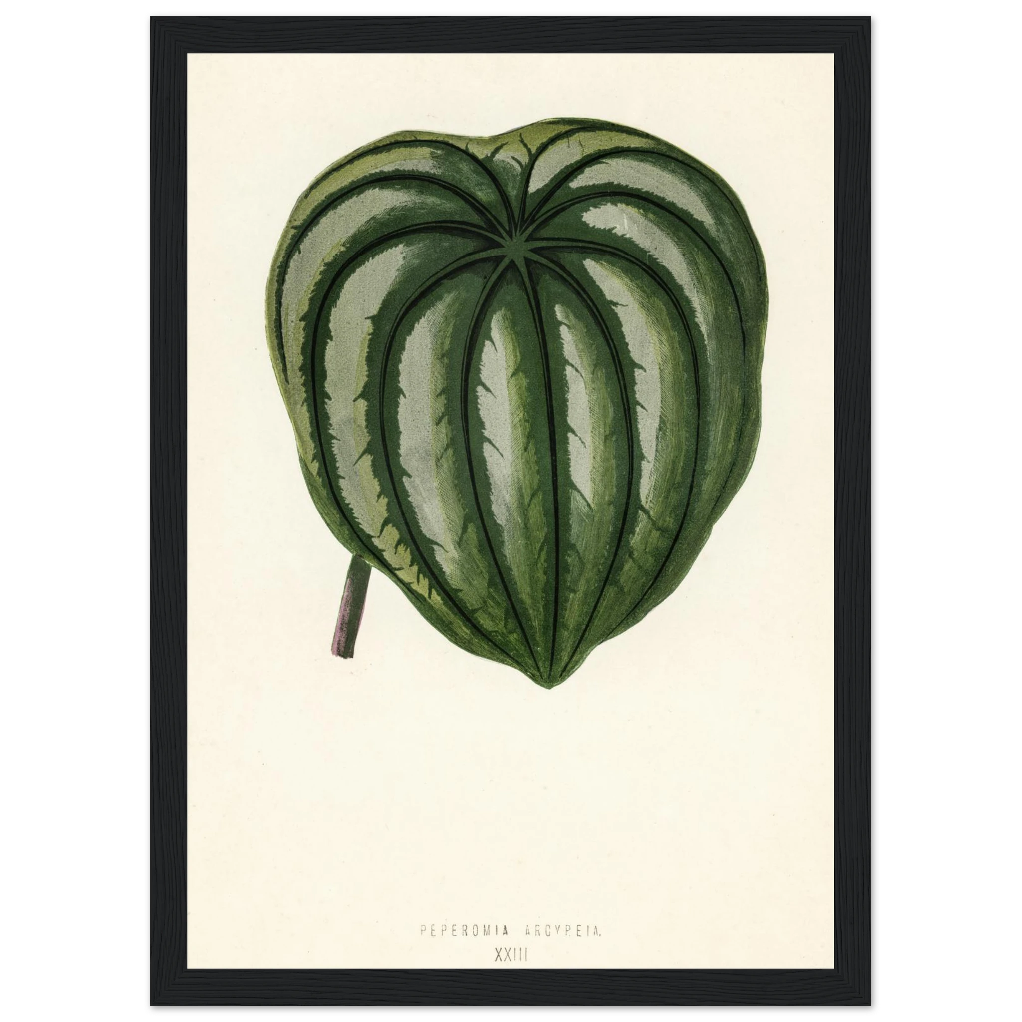 4116dc87-fb7c-411a-a5ad-772cc1bdb63b