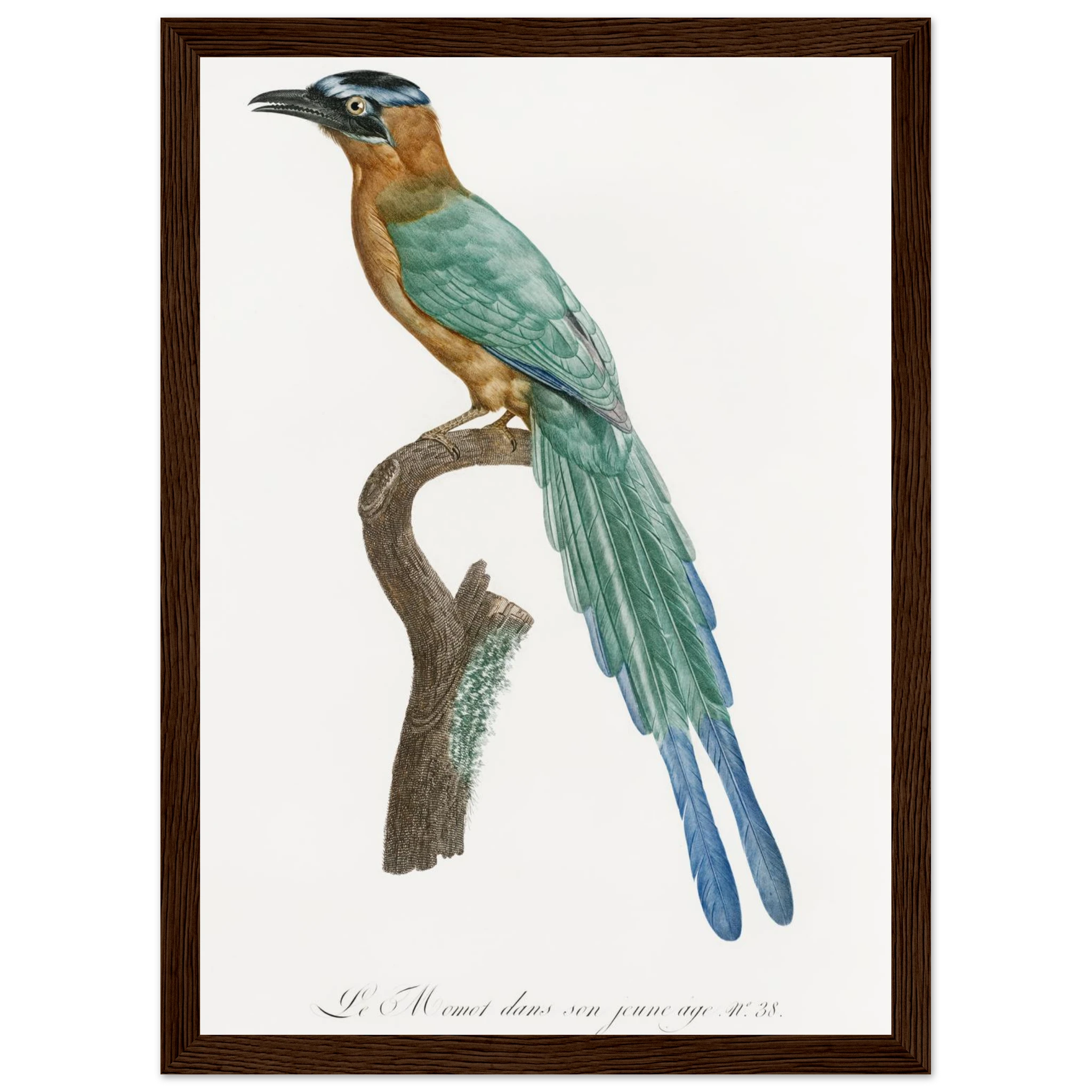 412f9805-7856-46df-9e76-7333aefbd40b