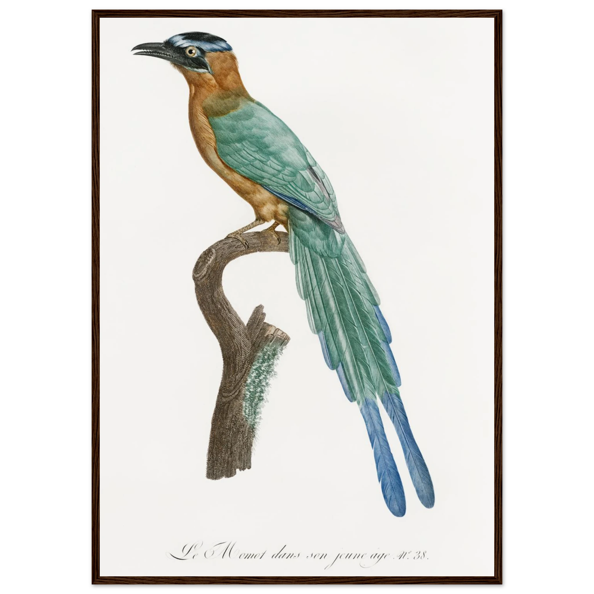 41710a97-1bf0-4465-b86b-dc0168f25520