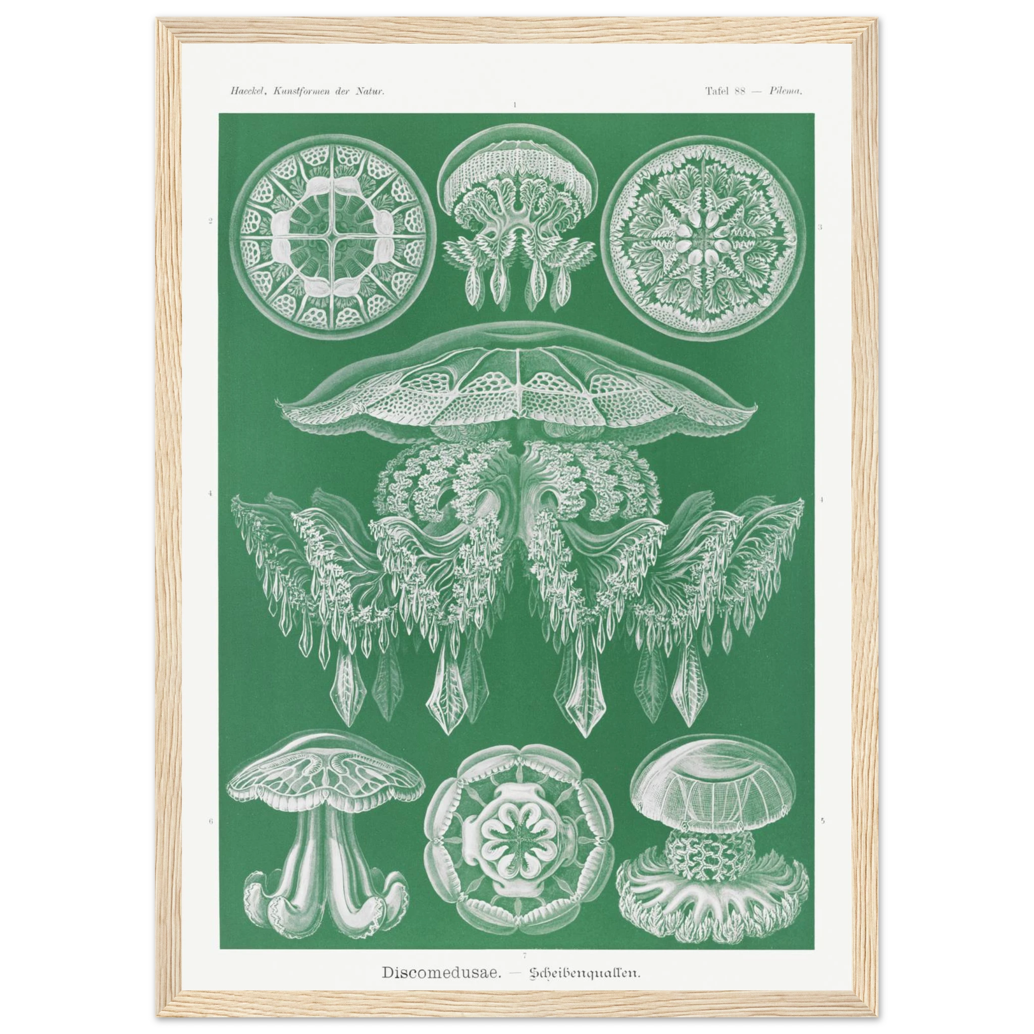 41d95831-7525-4a0d-a8f6-1b1bb2c8e1a2