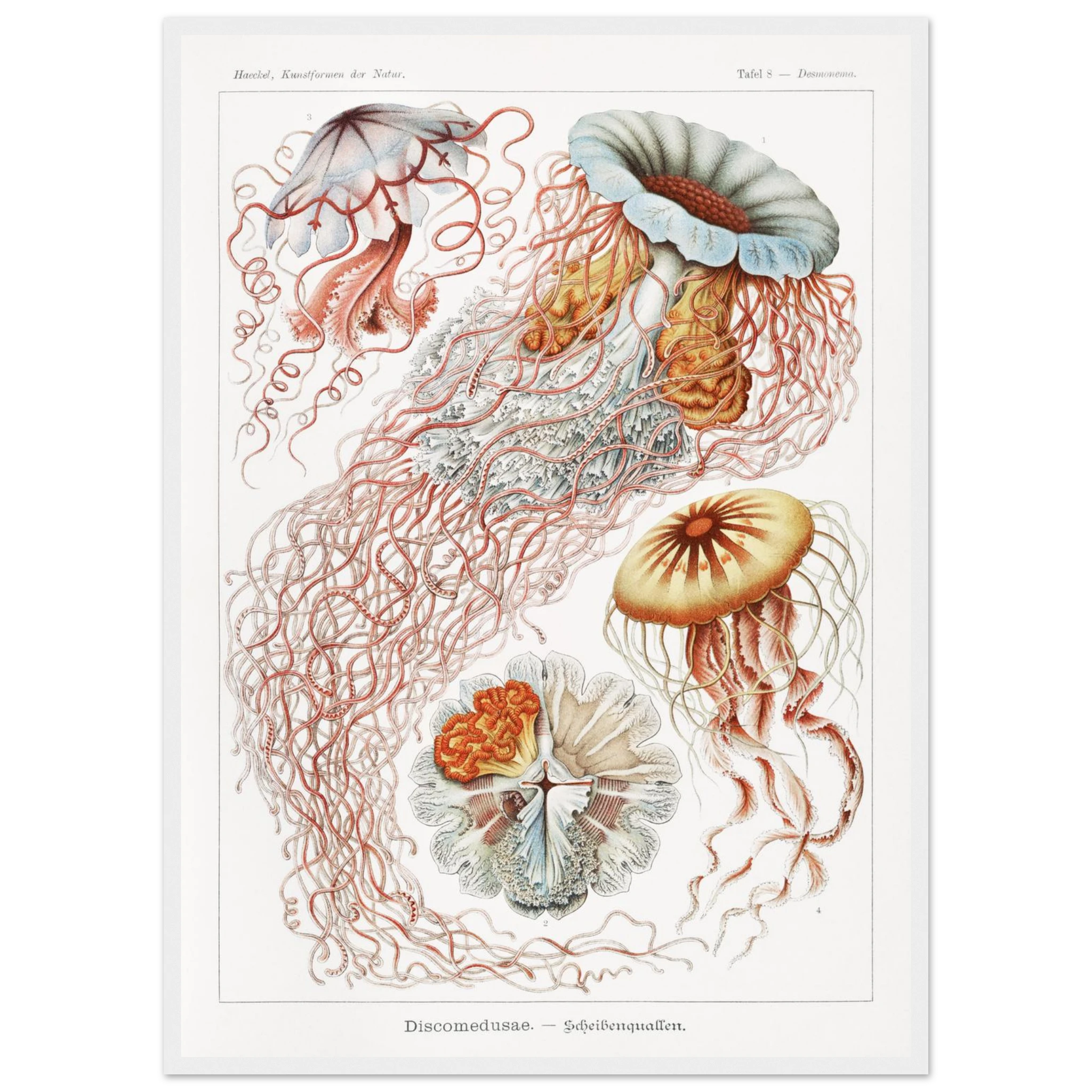 41f79e3c-73ae-4f4e-bce8-42403cc35886