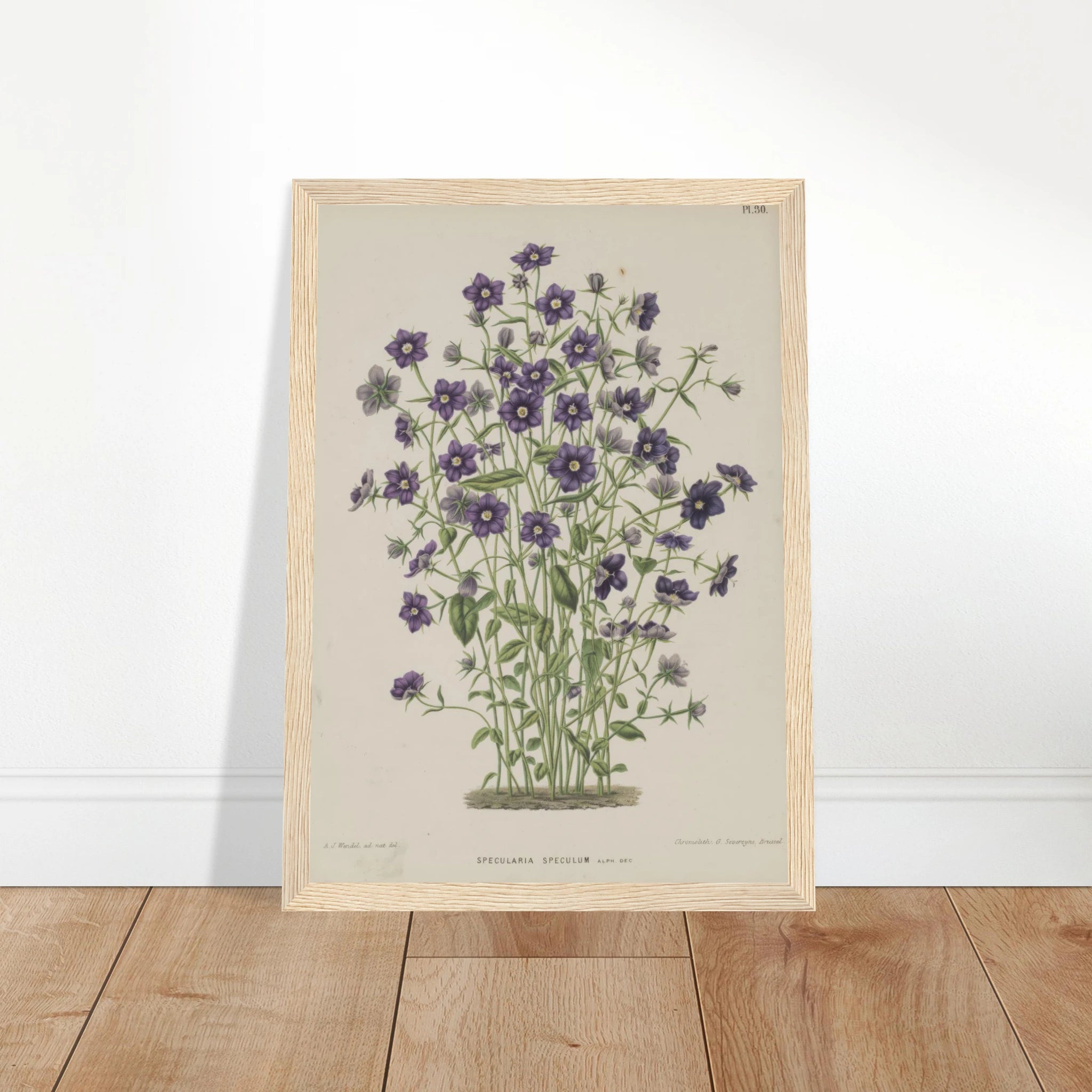 4279e093-5023-4d52-8262-a6796f4c91b9