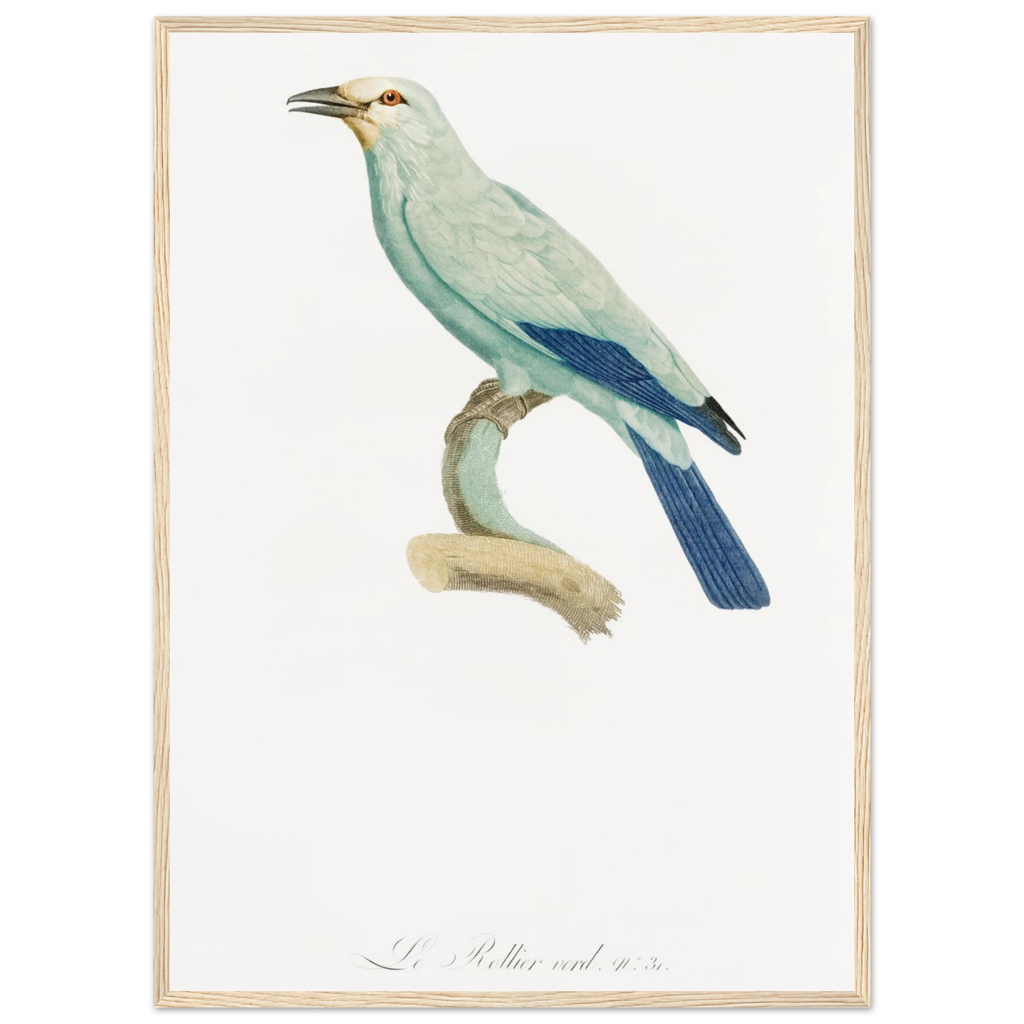 429b6e28-d977-4ab0-98cb-65d5f1c20cde