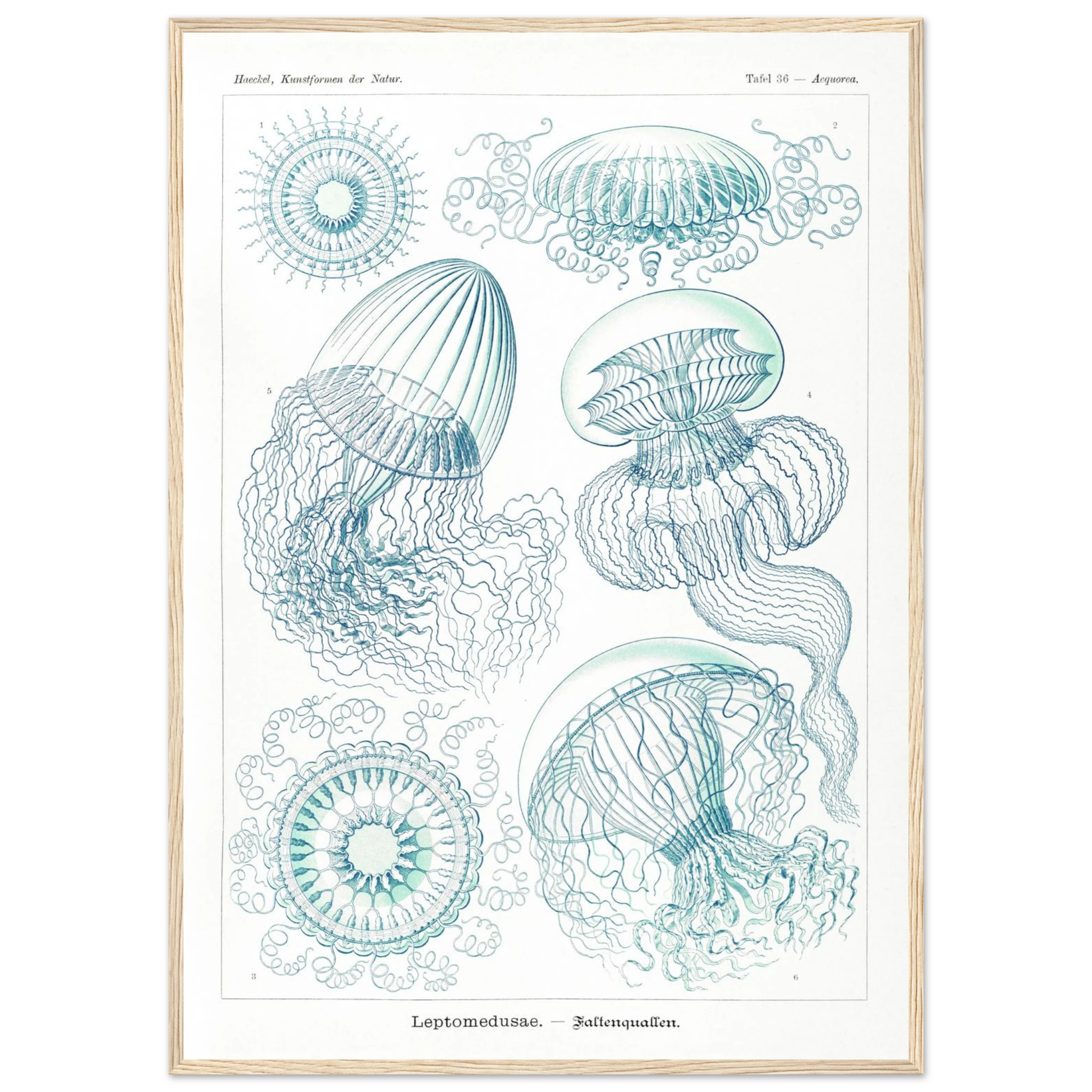 4339c92f-6607-4ad7-b3fb-12d1e9477736