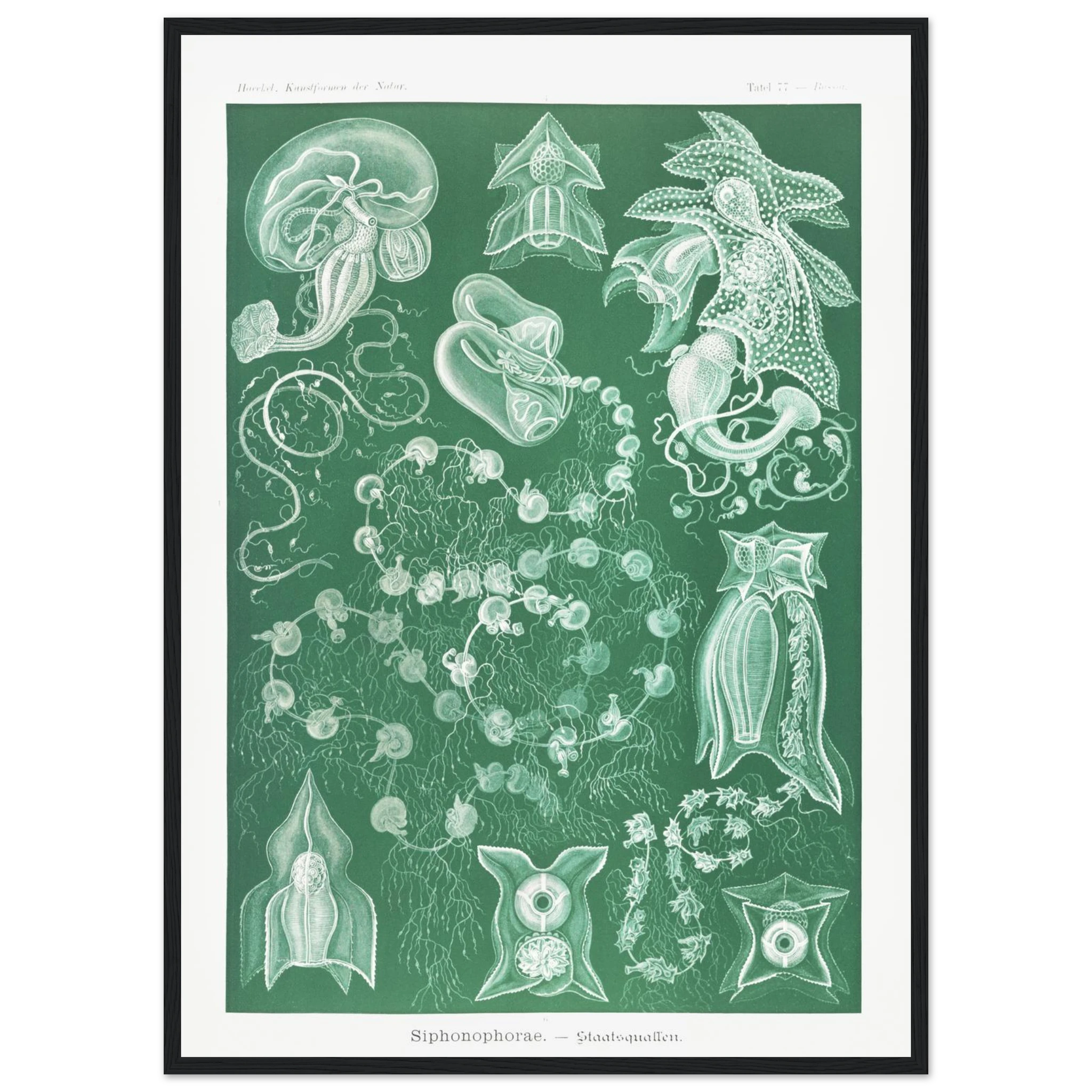 4340377e-d37d-4f86-8156-a12a09e675fa