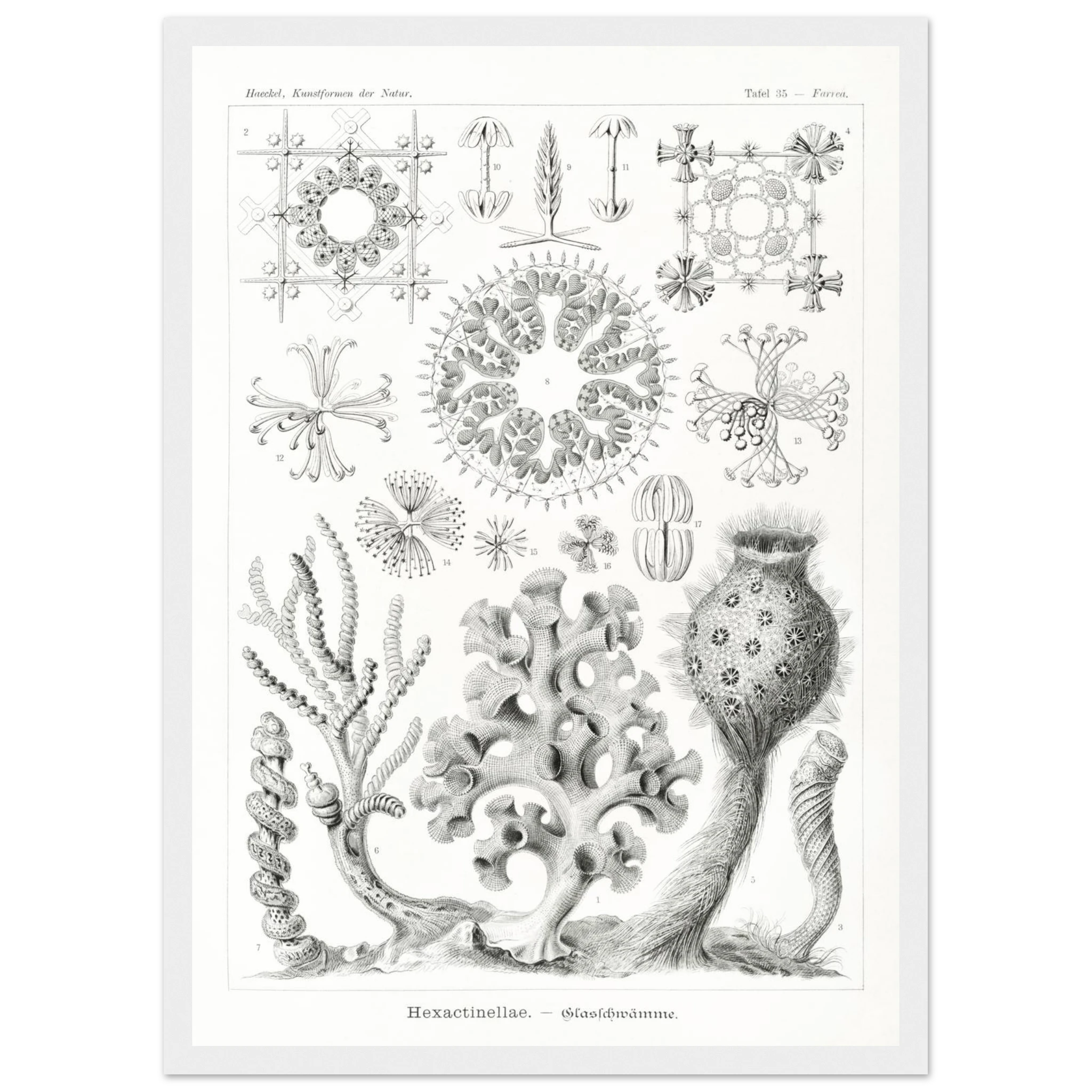 434457dd-4b33-489d-84a5-6e971e0b383f