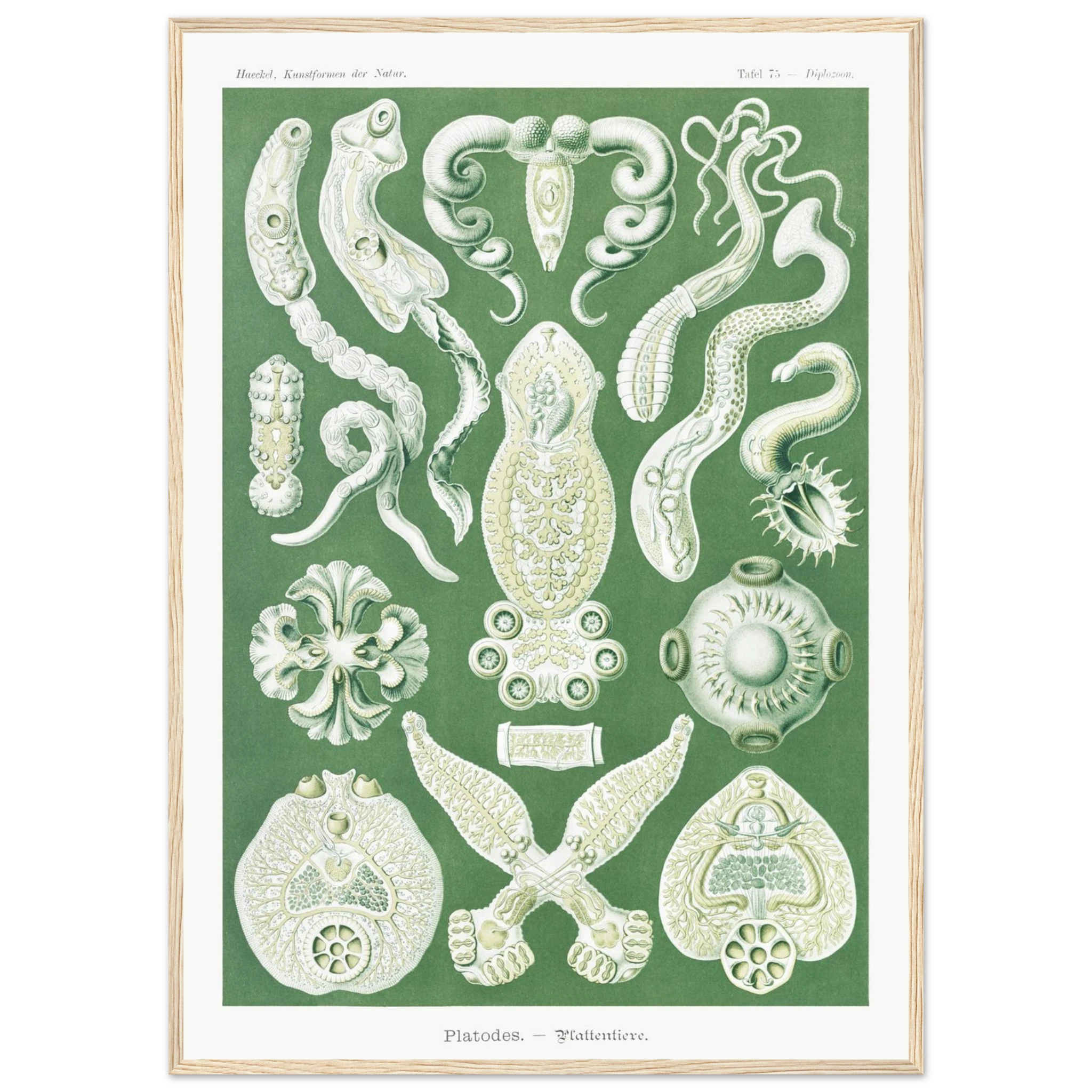 4353597d-1814-4f7b-b9ce-f43b1dc3e3df