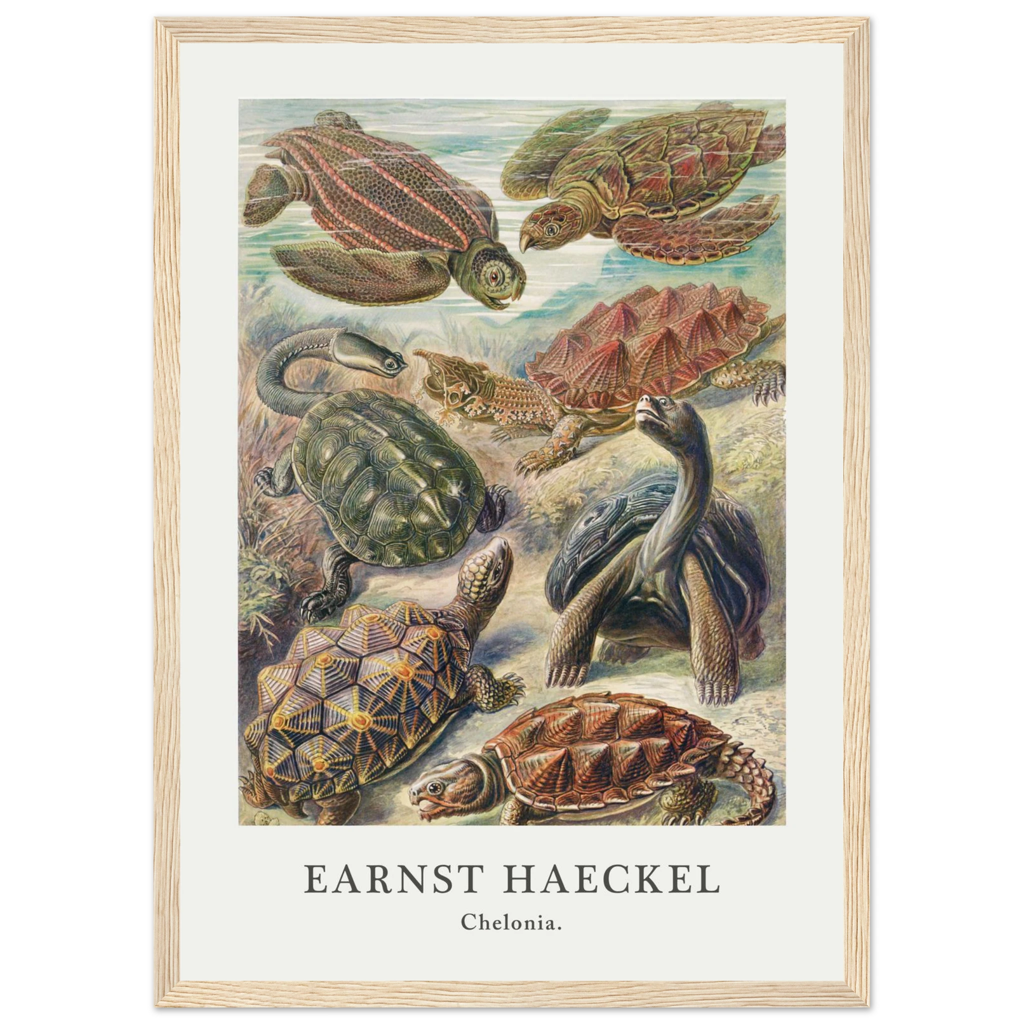 436c833c-d3a3-4ff4-b2e1-3953533625a7