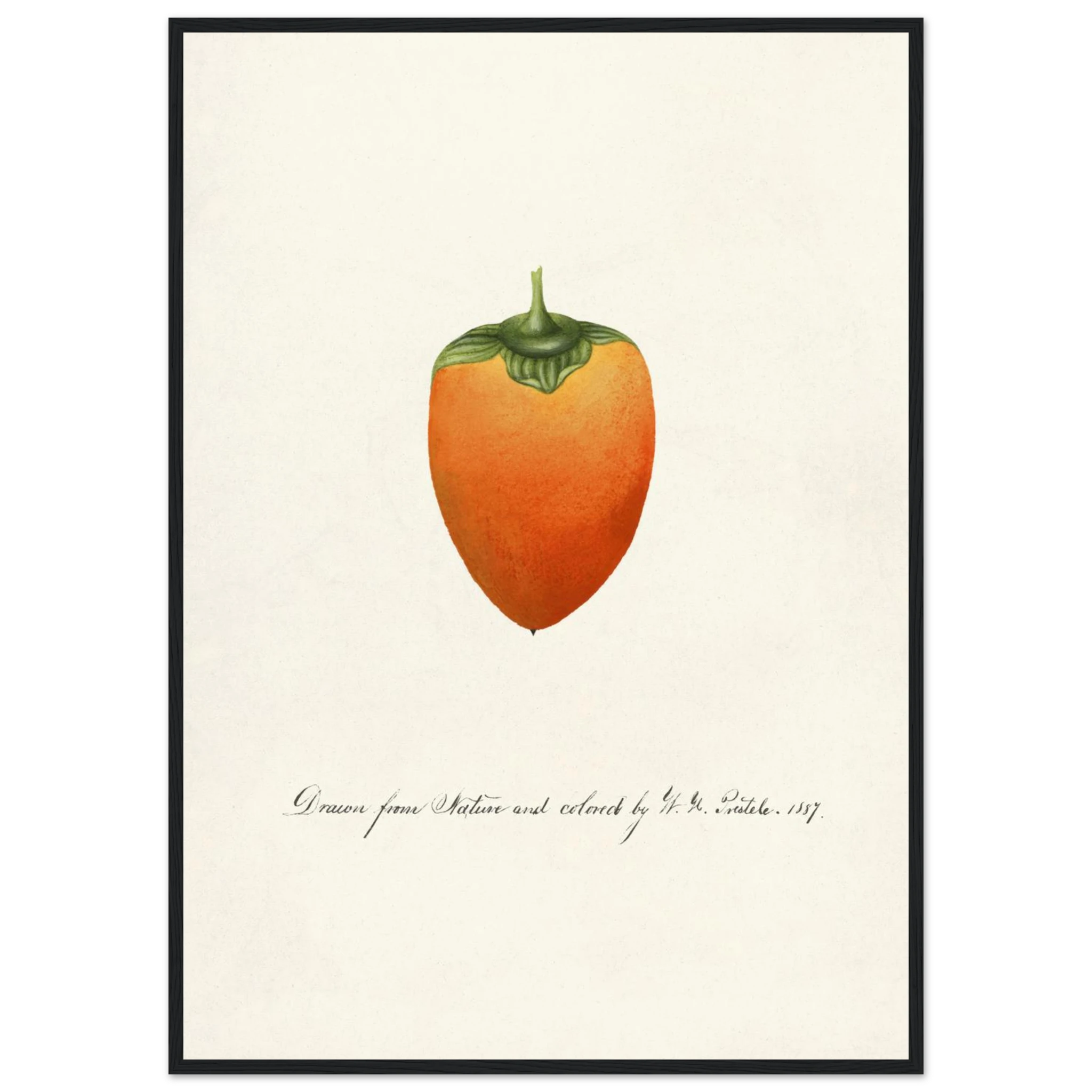 438f1900-d75e-450e-8fd5-f7b3a790d9f5