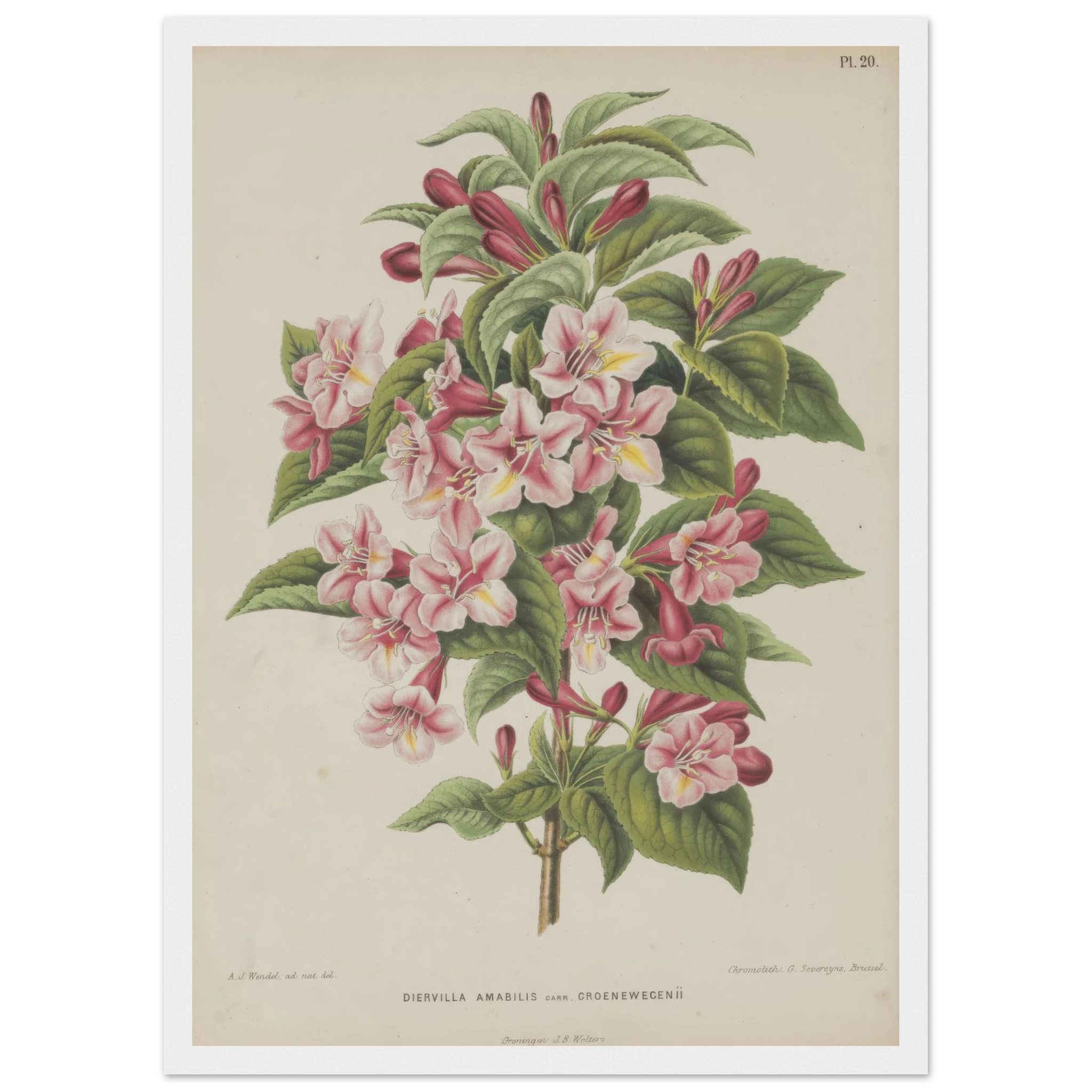 43909447-29a4-4c64-913c-017166562383