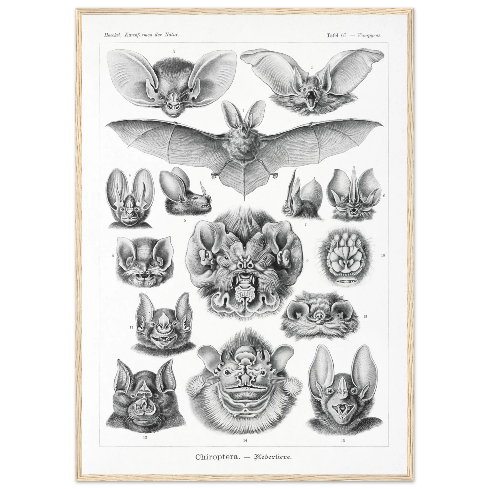 43a7dcd6-6488-49cd-9b9c-210b3acb5cbe