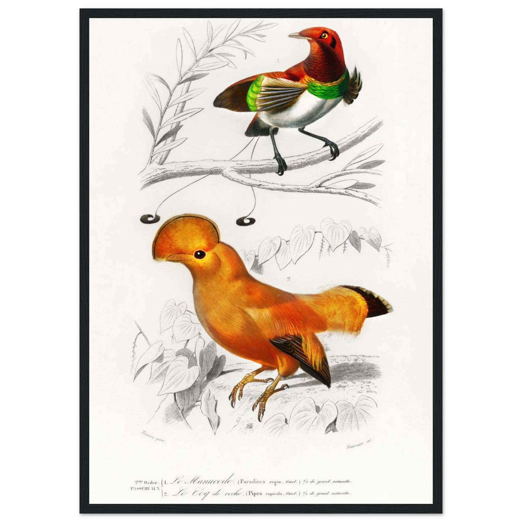 43b8fe80-7ae2-4627-8b4a-1c945be8bb8f