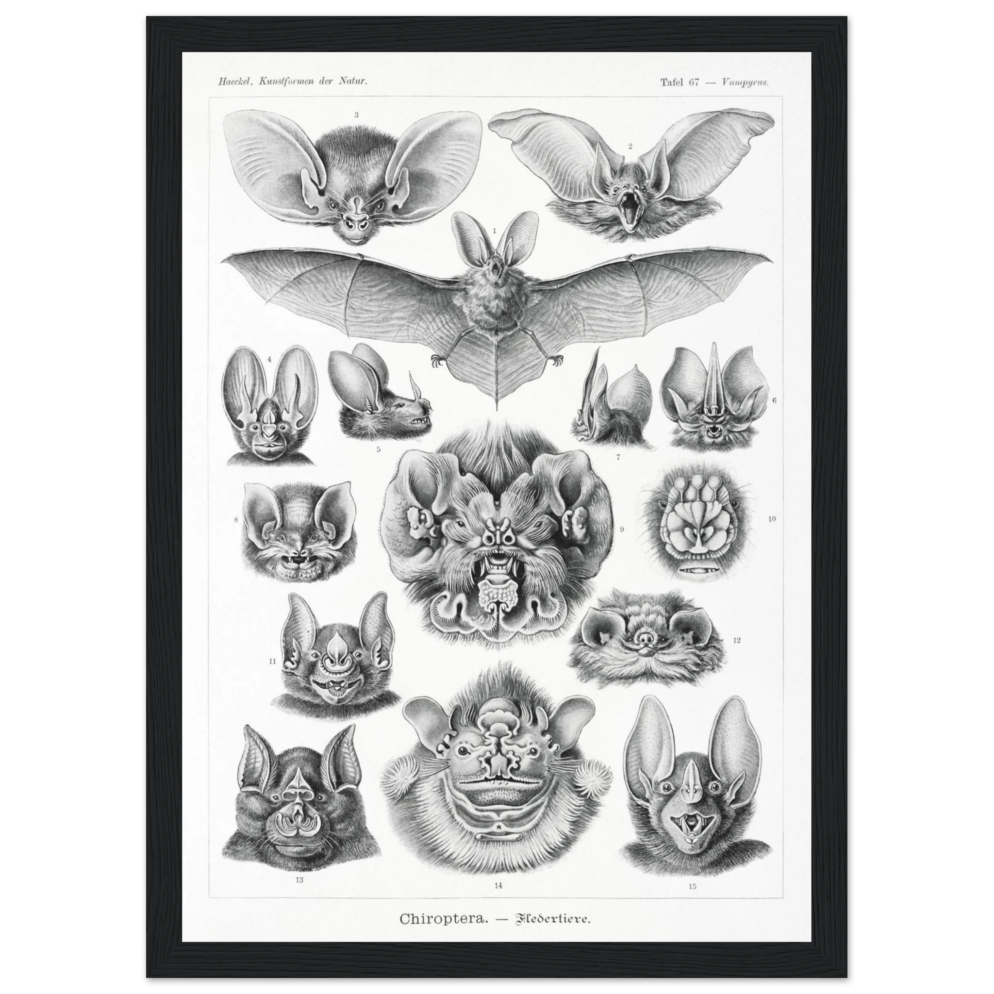 43bd5f93-3563-41e4-923b-9f5bd501fd29