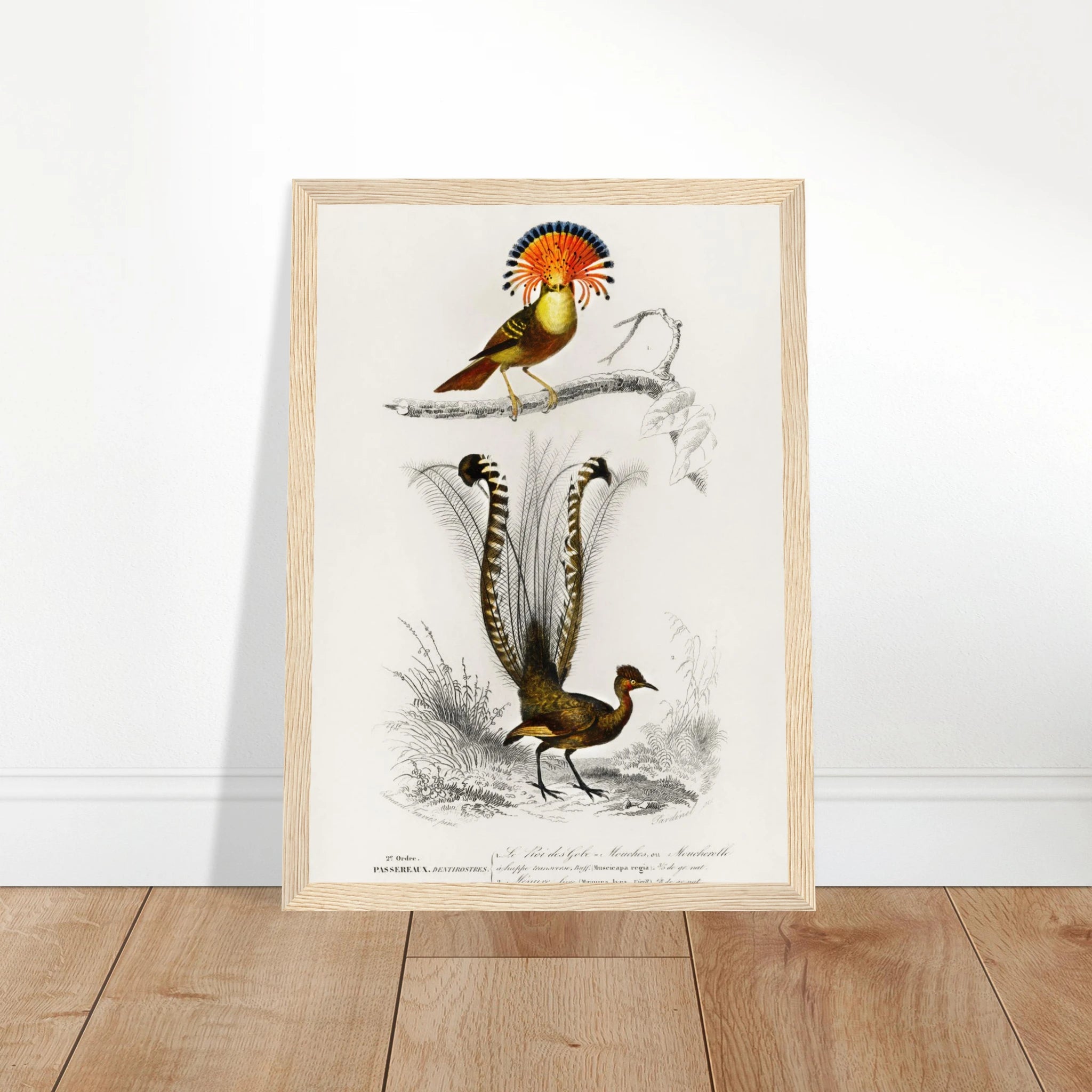 43f5969e-9045-42f2-a91e-9a692c018ca8