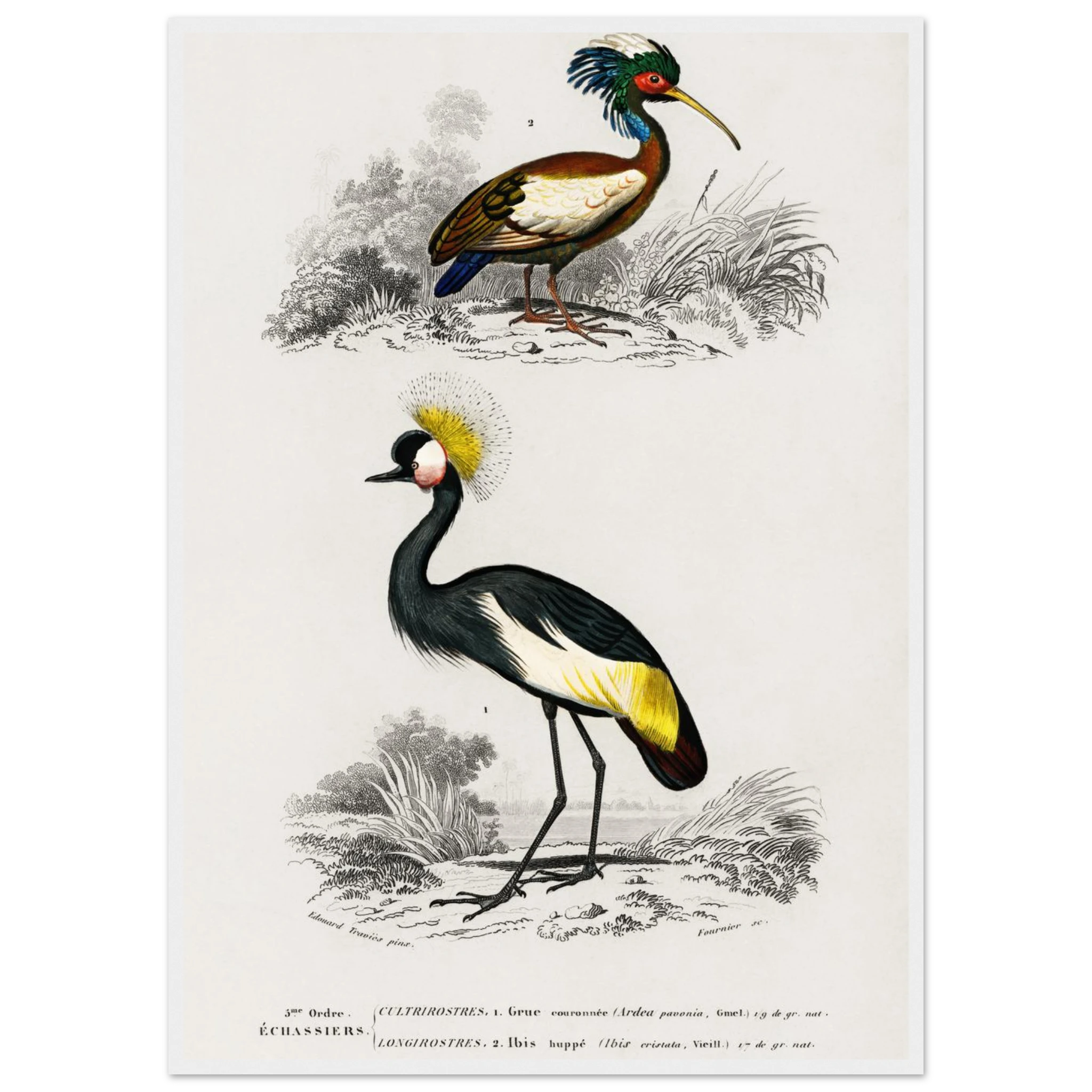 44078b69-ef66-4d32-90cc-9bd472dc9ffe