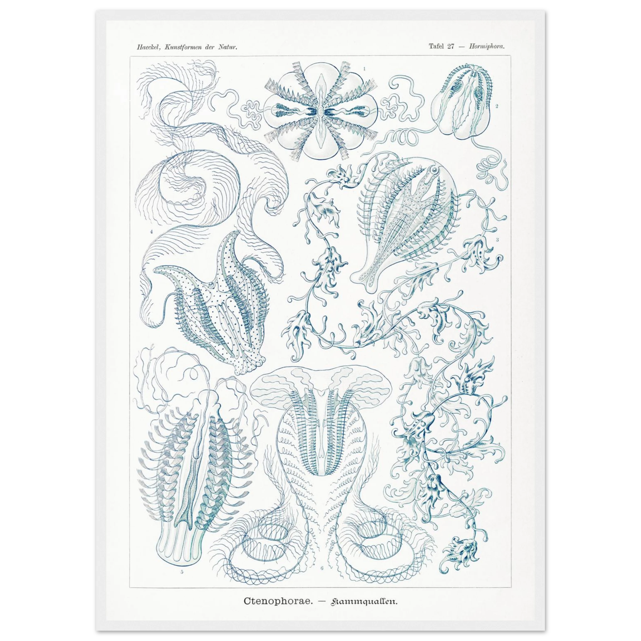 4427ea6f-1cb6-4d63-9e62-6e3c2f733af7