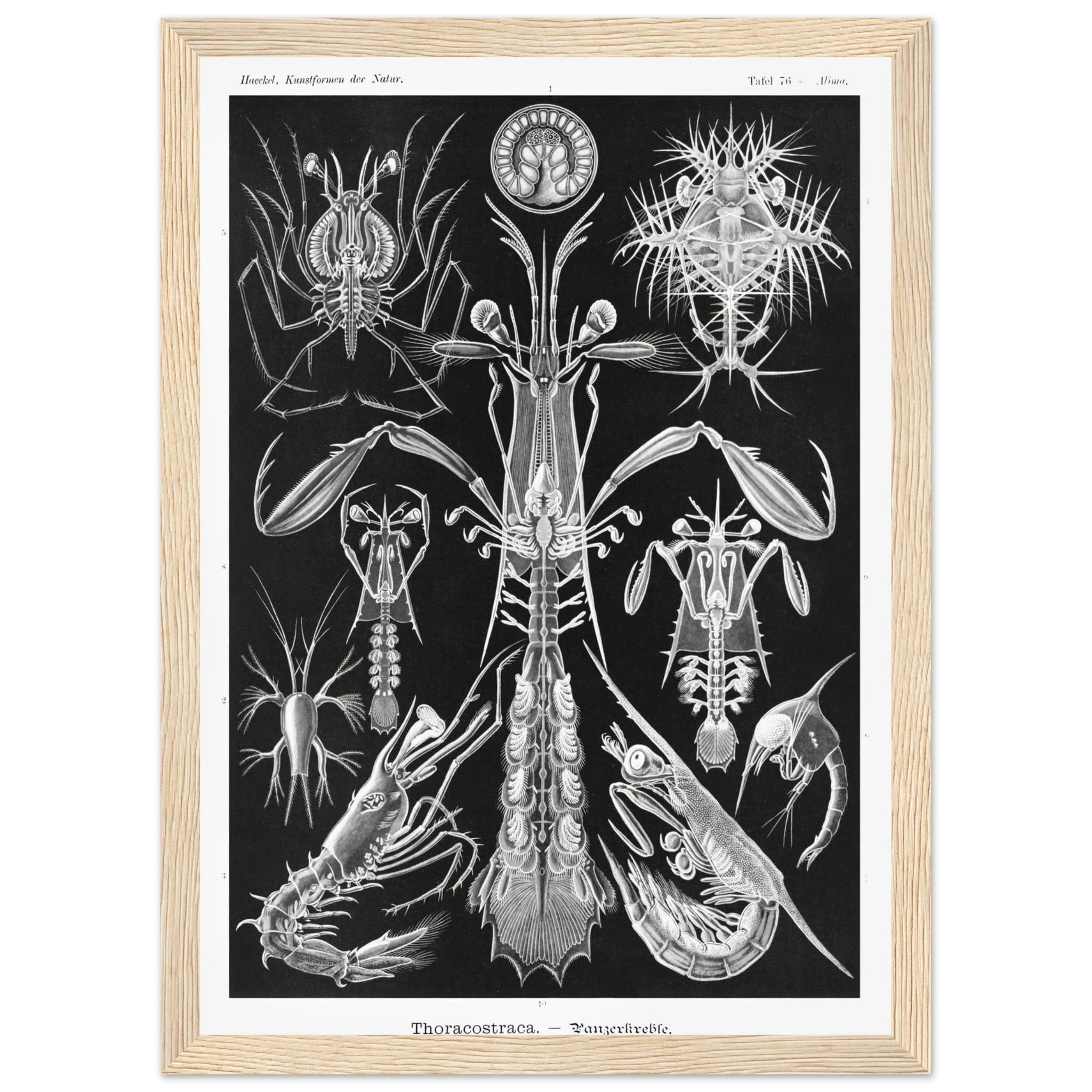 443ddf70-23be-43a9-9e56-d1397fa66e7c