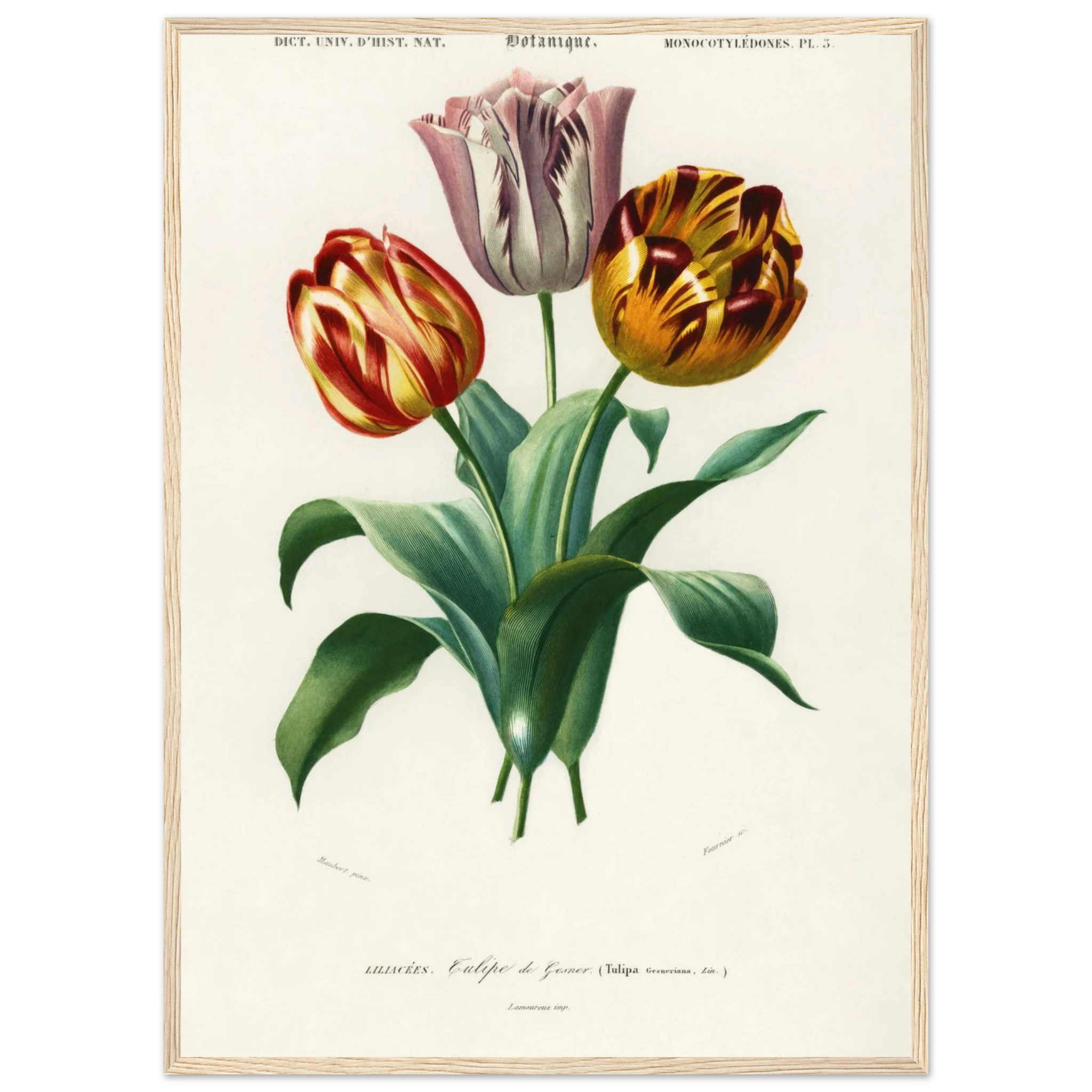 444e1316-4bfb-4889-9a68-f257b2e1ec9c