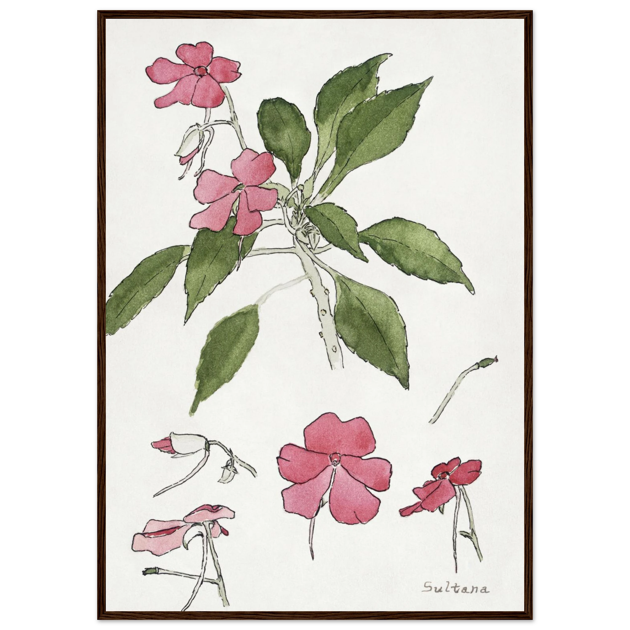 444f8e97-ba22-4d9b-9230-d23e2eca750c