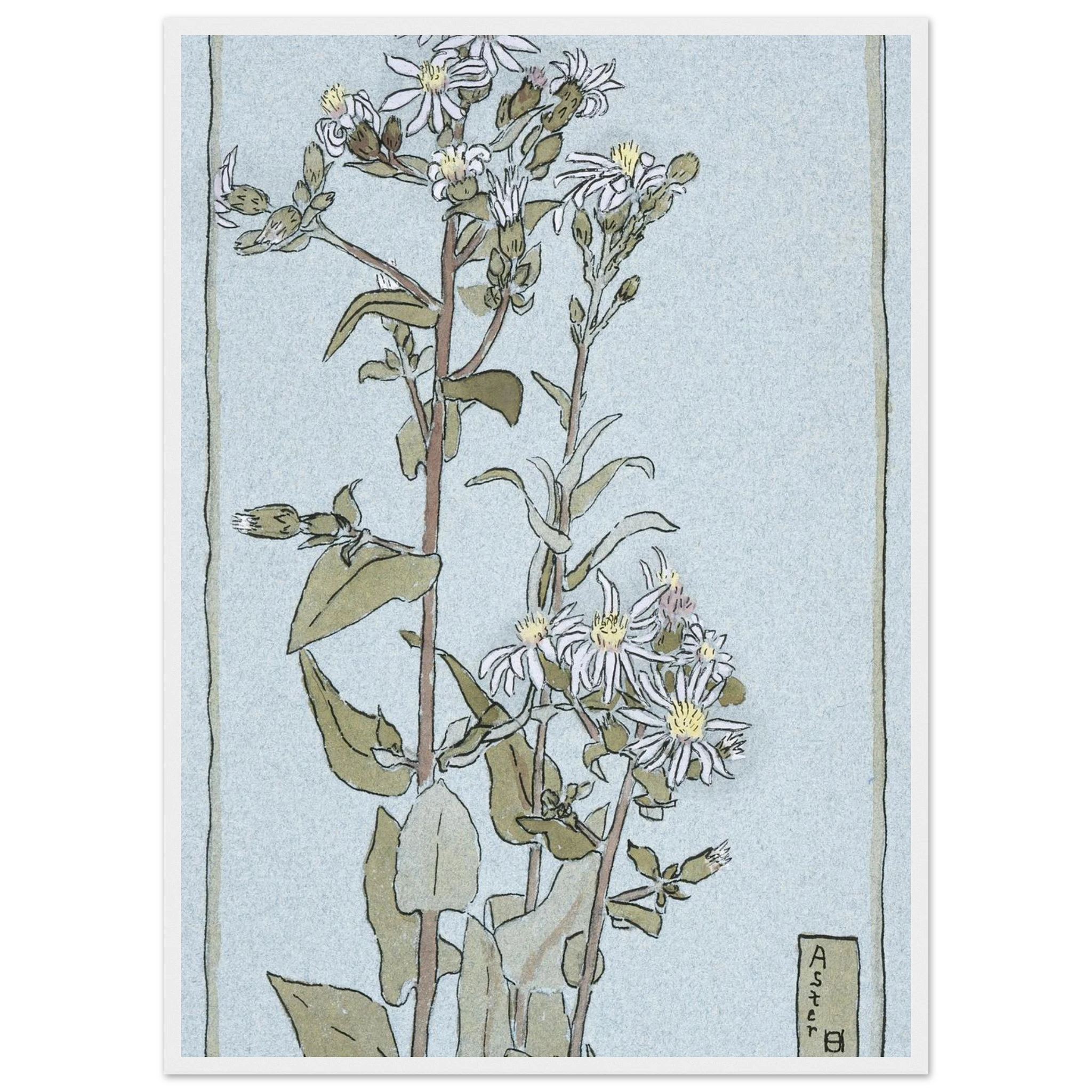 4469ce06-d629-41da-921f-28fea11ddb8f