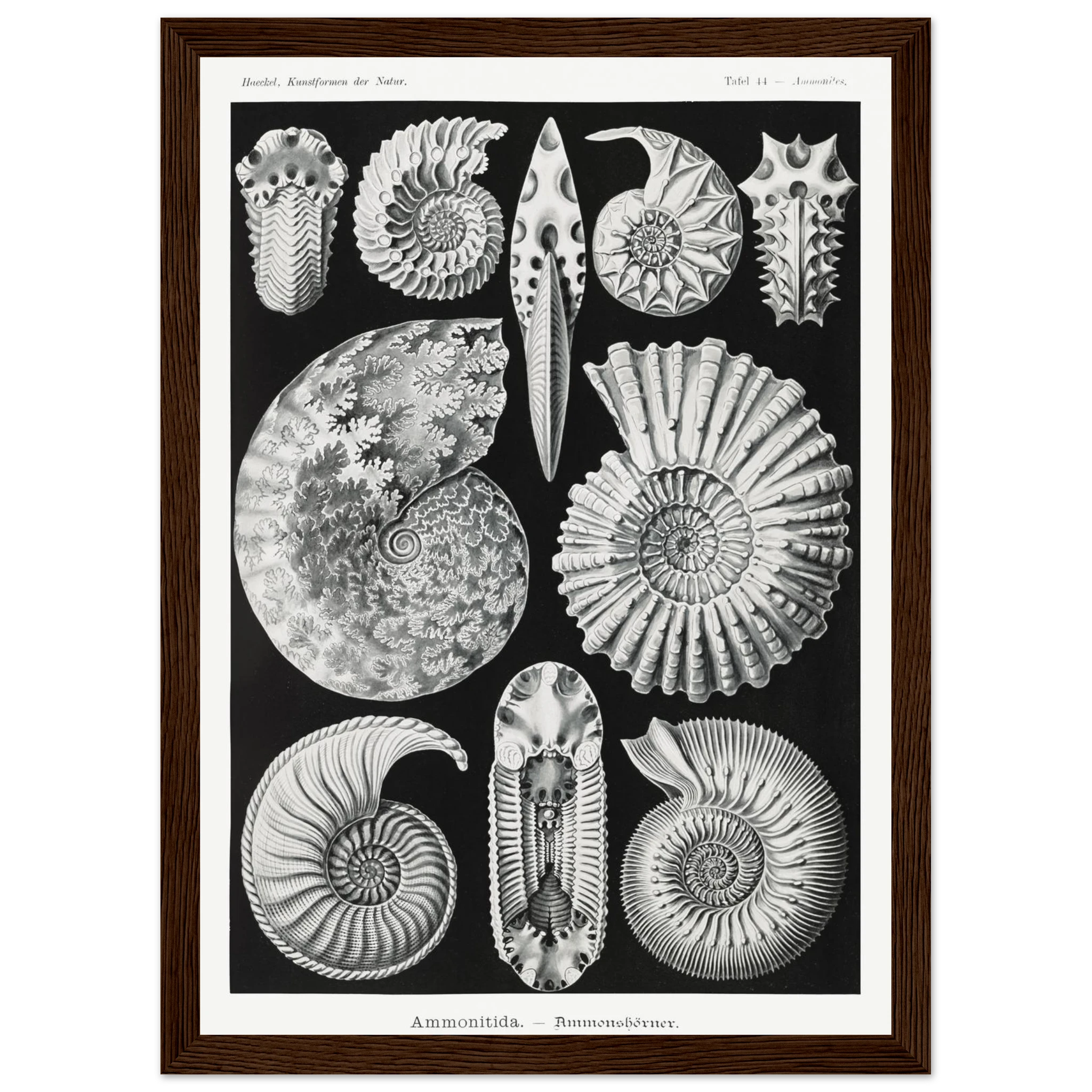 44e2fa86-e9b0-4ecb-89ed-90eaae416e4e