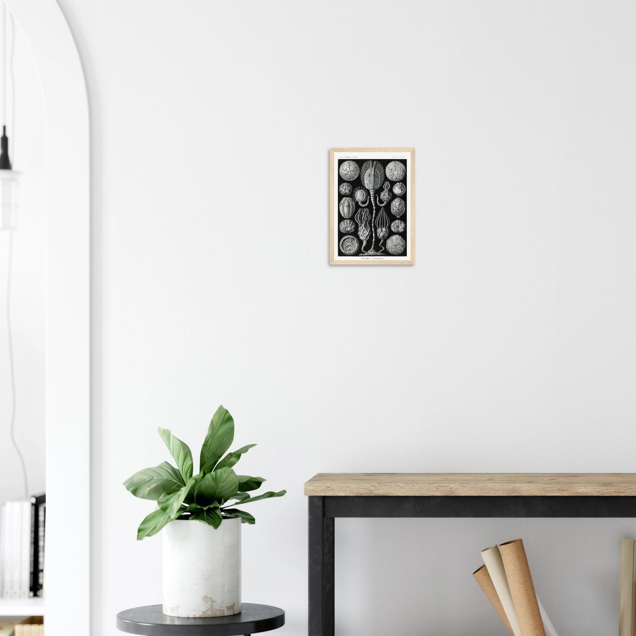 45460996-61eb-417b-96e7-3cc73a618bc1