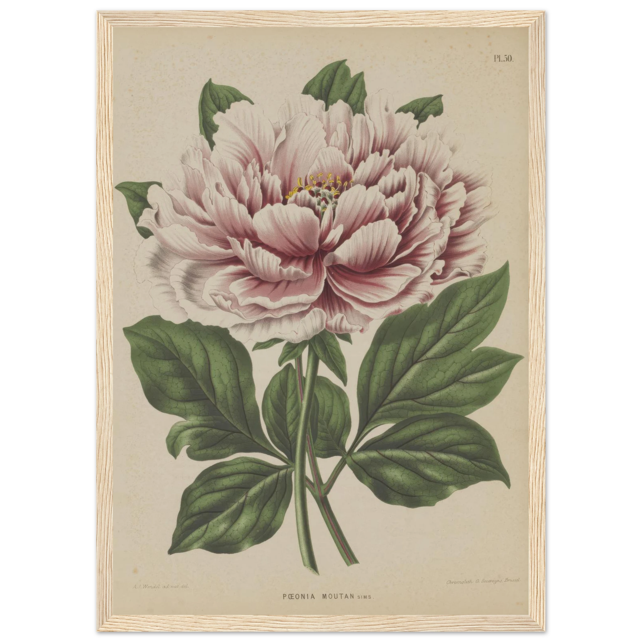 45810447-6d87-4774-95a0-be47c92beb39