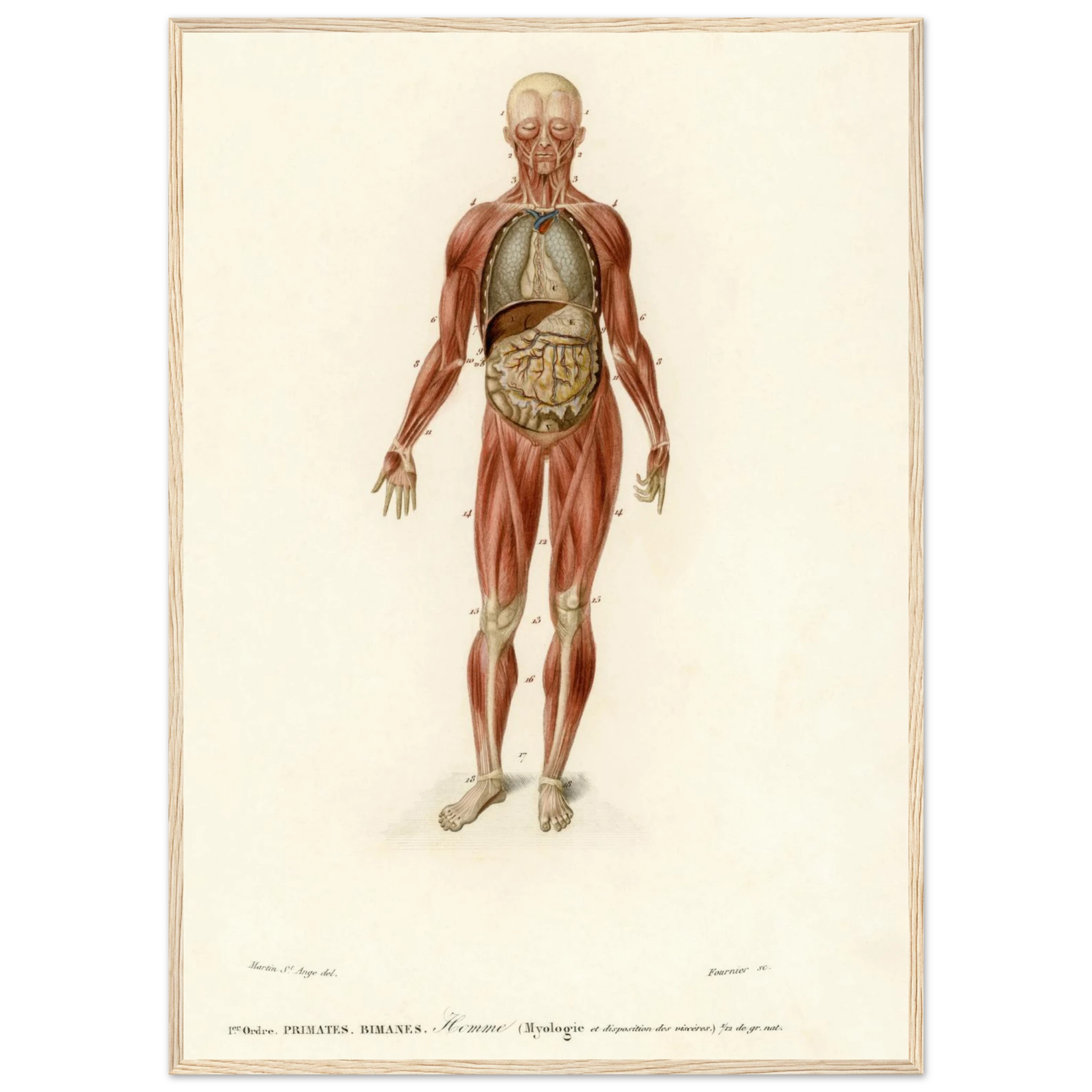 458aff72-ca54-4162-8779-44bc444be1a1