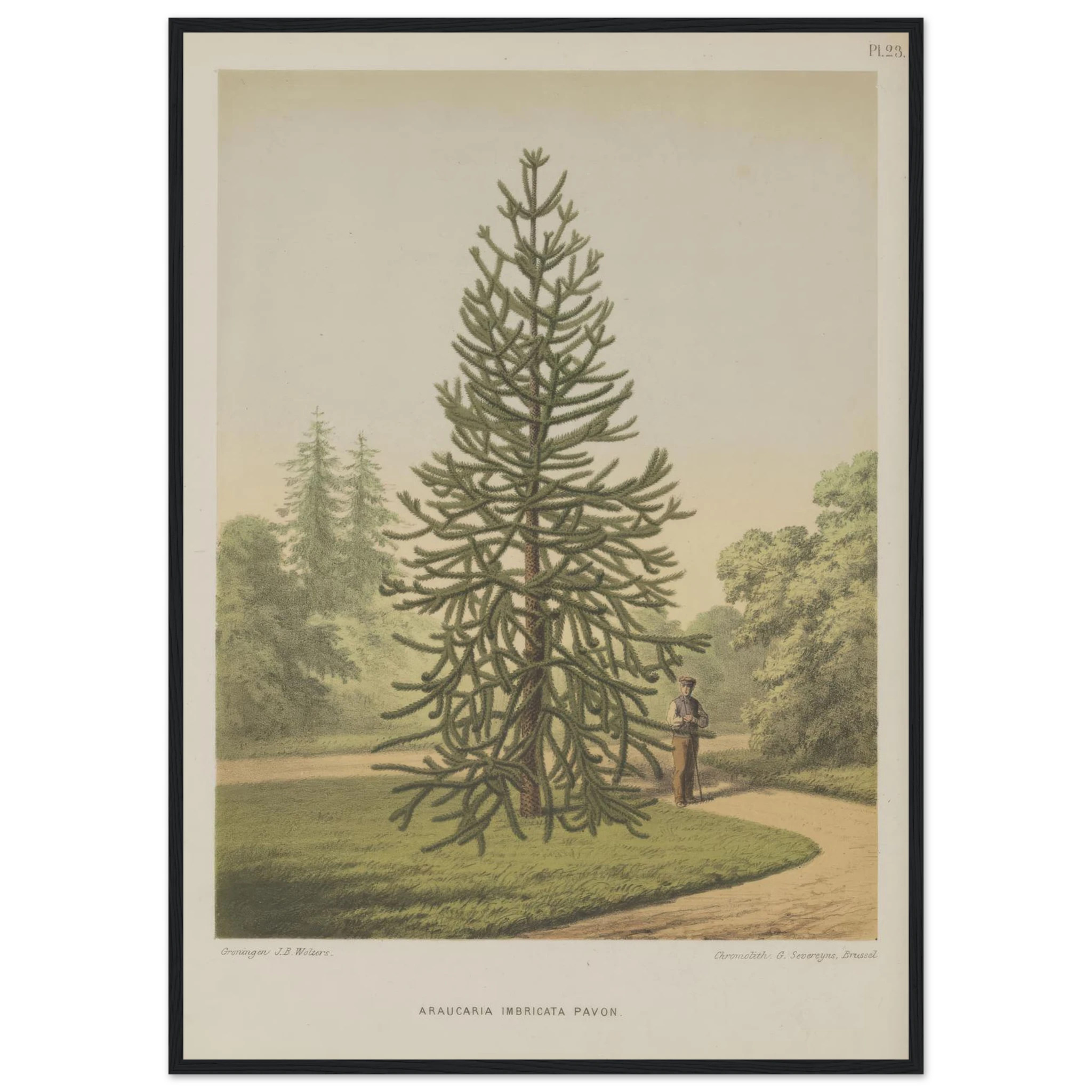 45907fbb-1b9b-40a5-9529-d76f77d244b7