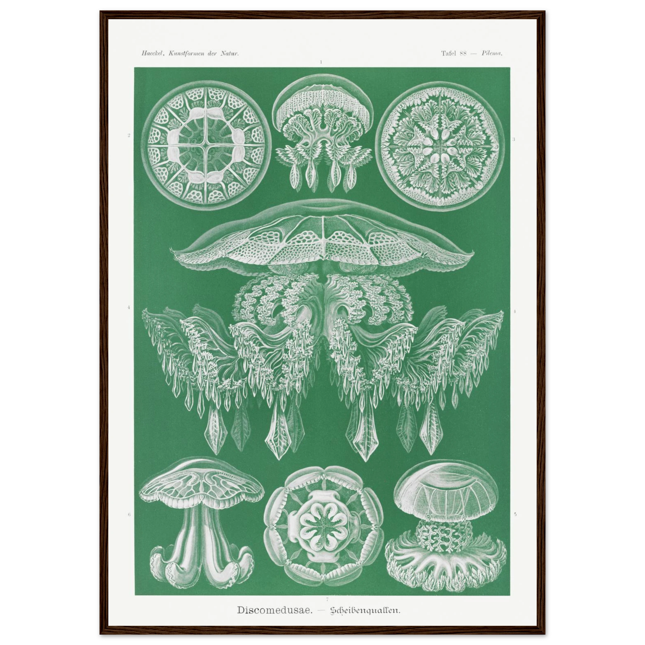 4590fa3d-fc2c-425e-b0de-5a76f03bc8eb