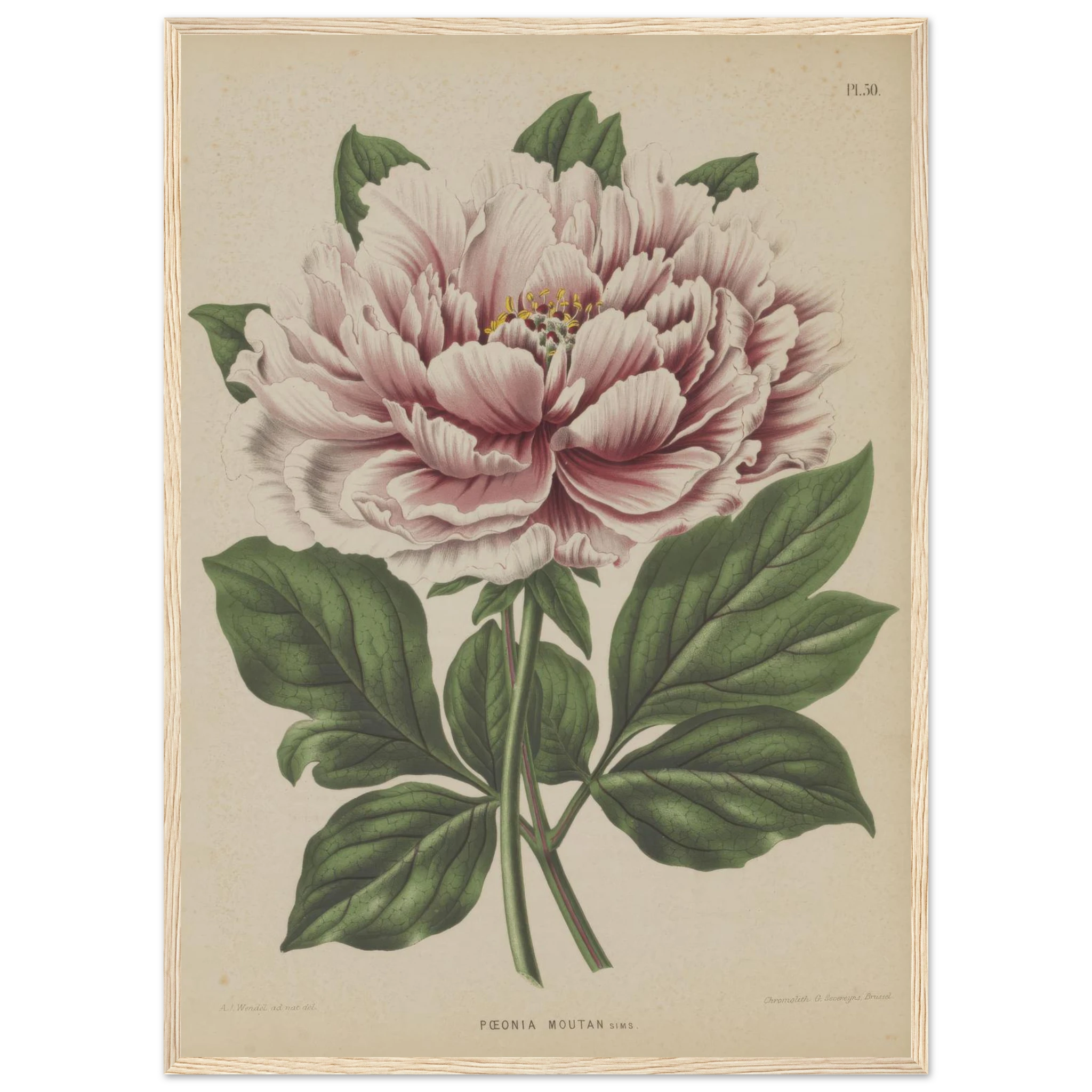 45ca13a2-8cef-47f7-94f5-c9cdf95065de