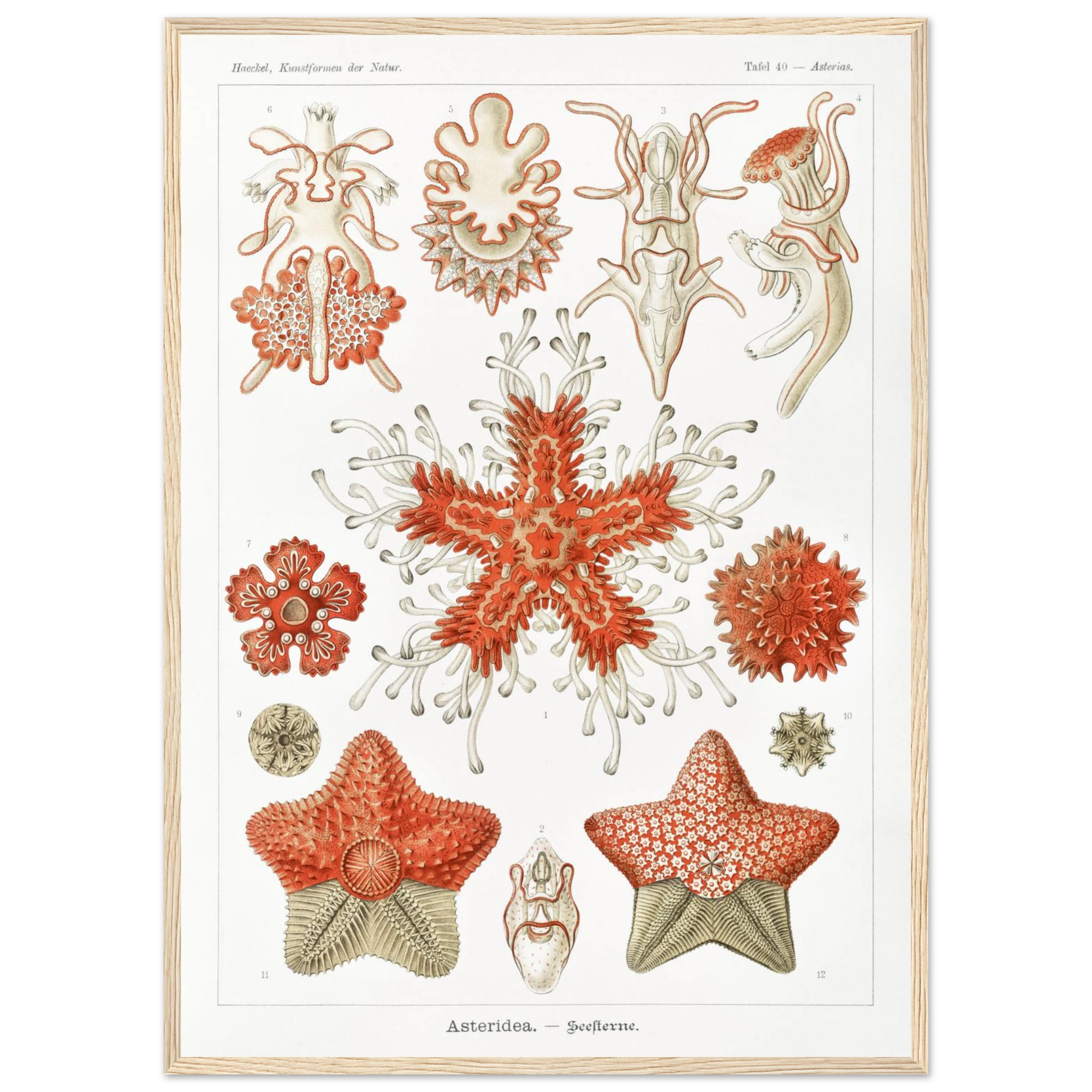 464fc640-e569-4fc0-9071-656cbc86e4d9