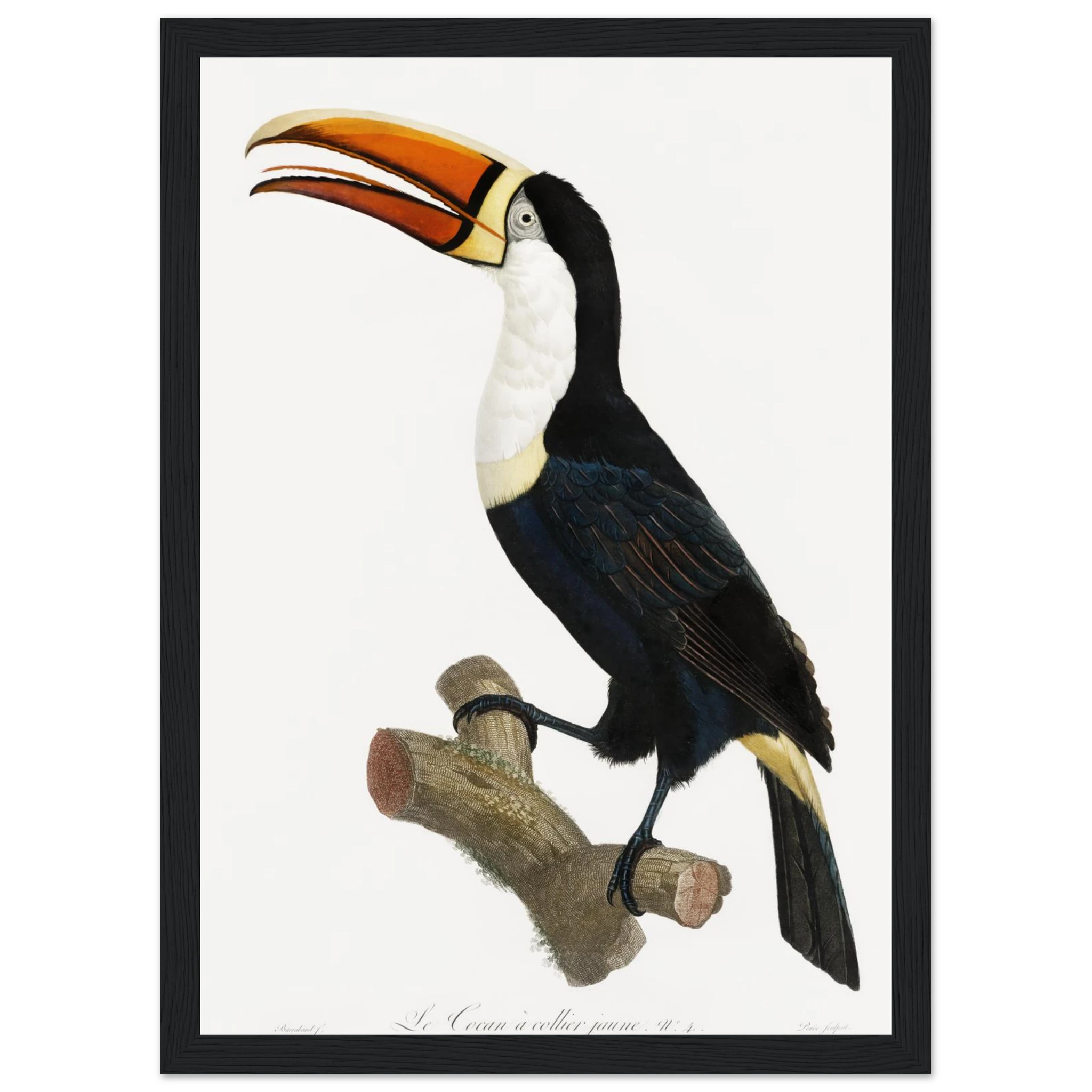 465fd492-187d-476a-b32f-33c3cbe239f7