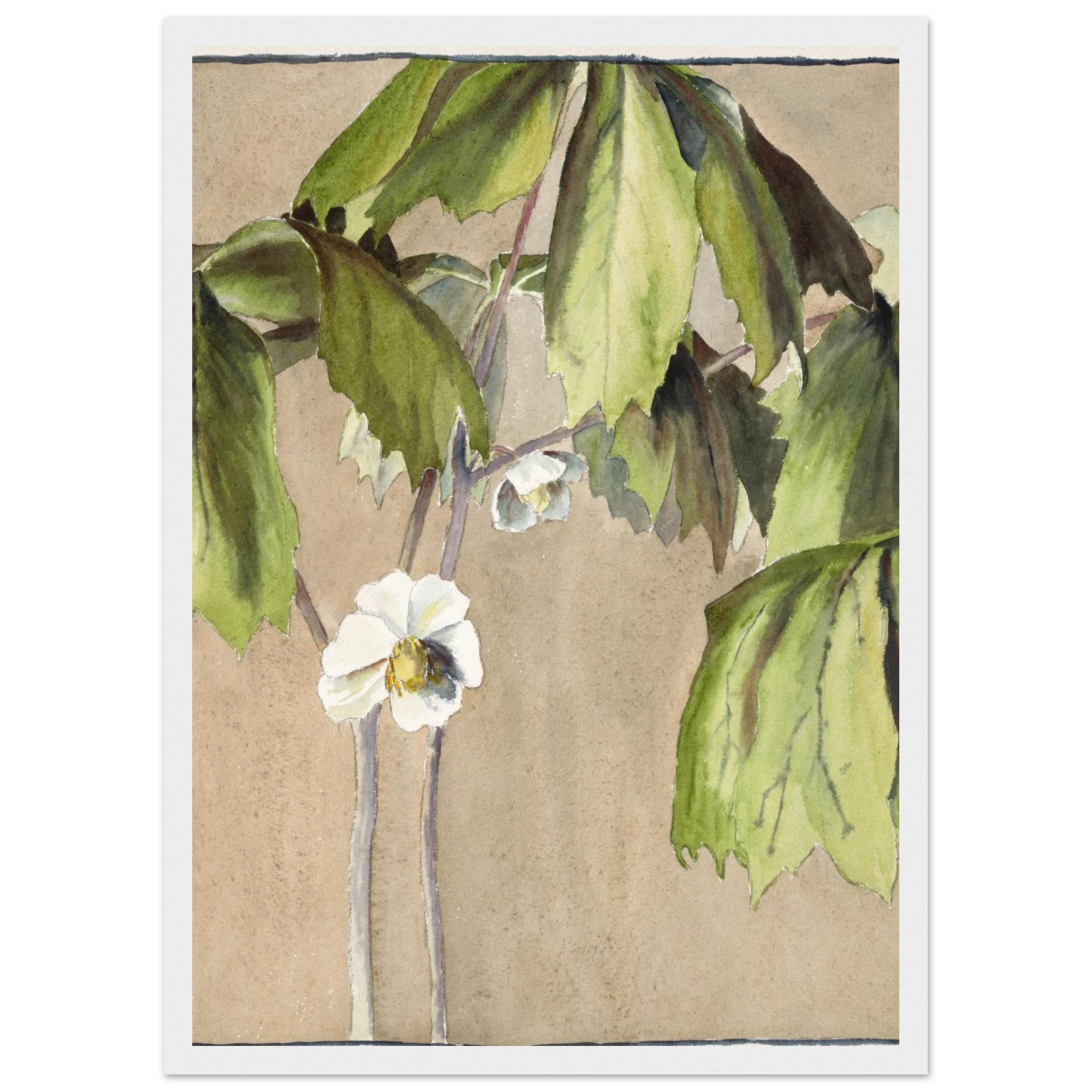 4677476e-0f77-44d9-89d8-d619fbd9d73f