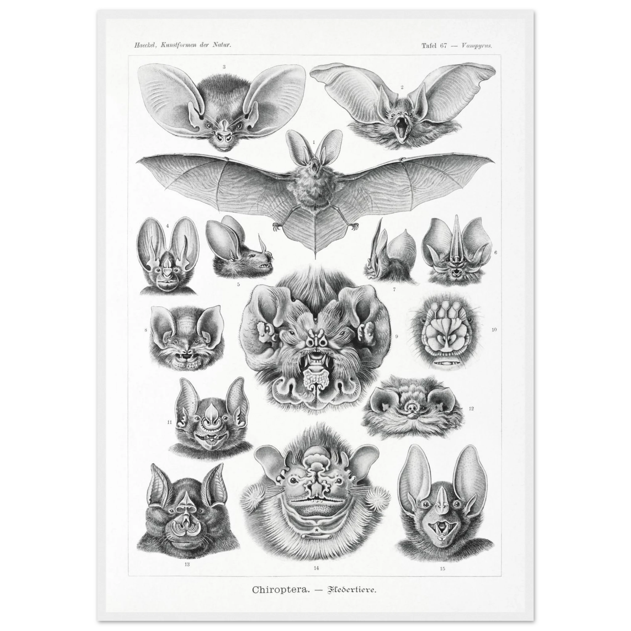 46b0934e-5d1f-4a17-bee5-a3e751b845ab