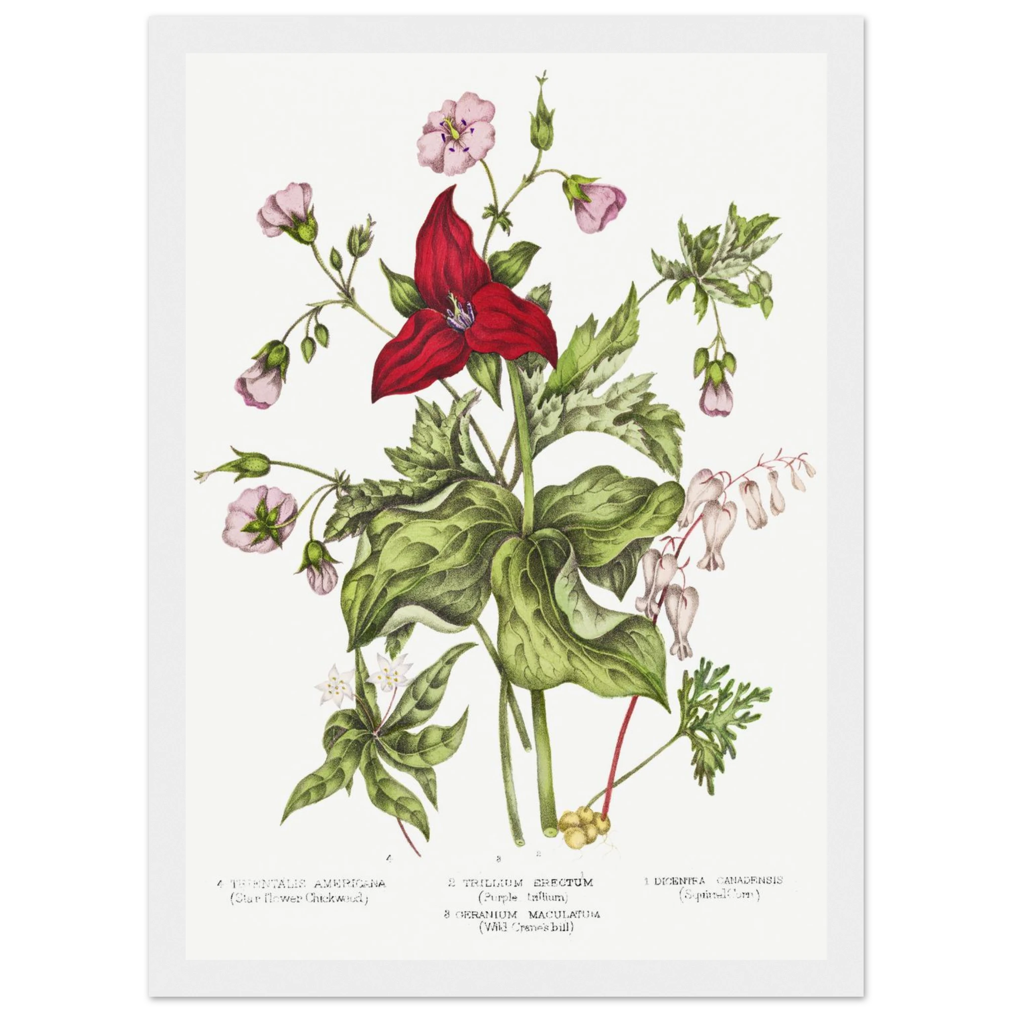 46be6a01-c3d6-47f4-8d1f-26f69bbc36b4