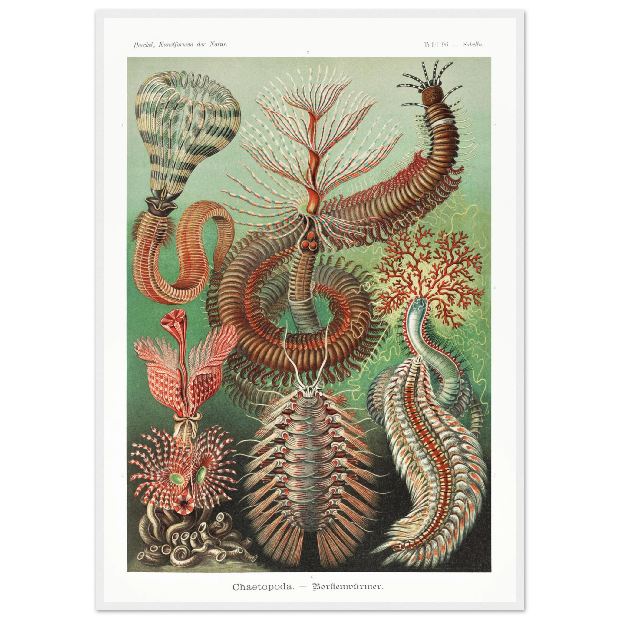 46faf3fa-0c74-4e62-b9f2-462c142715a3