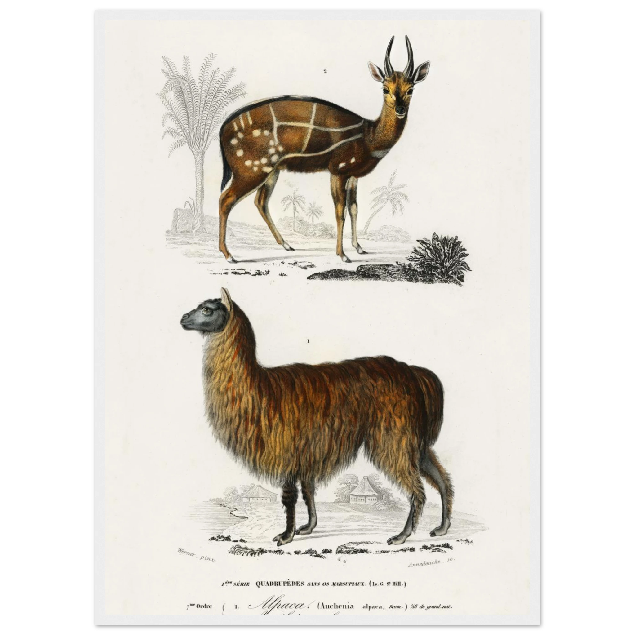 4717f883-b5d5-4370-9231-7748f4b881f2